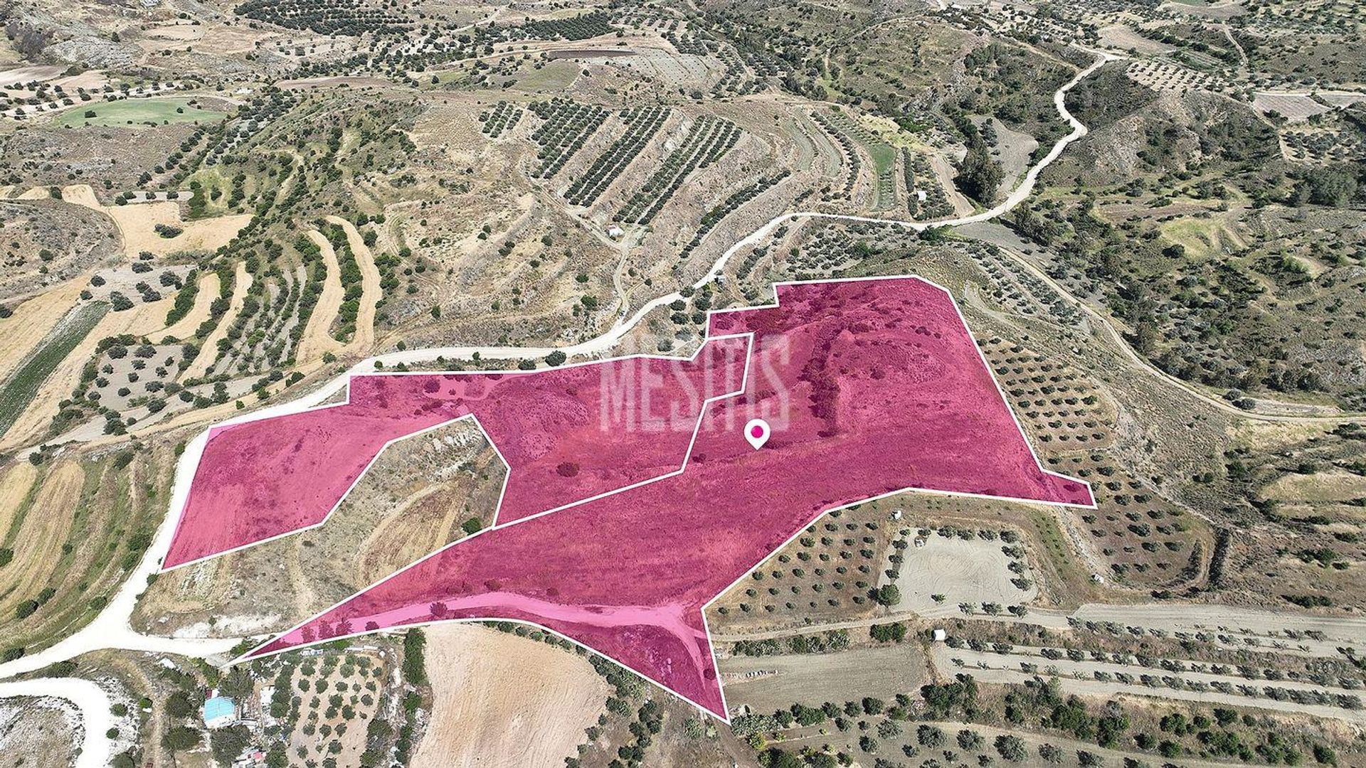 Land i Pera, Nicosia 12146188