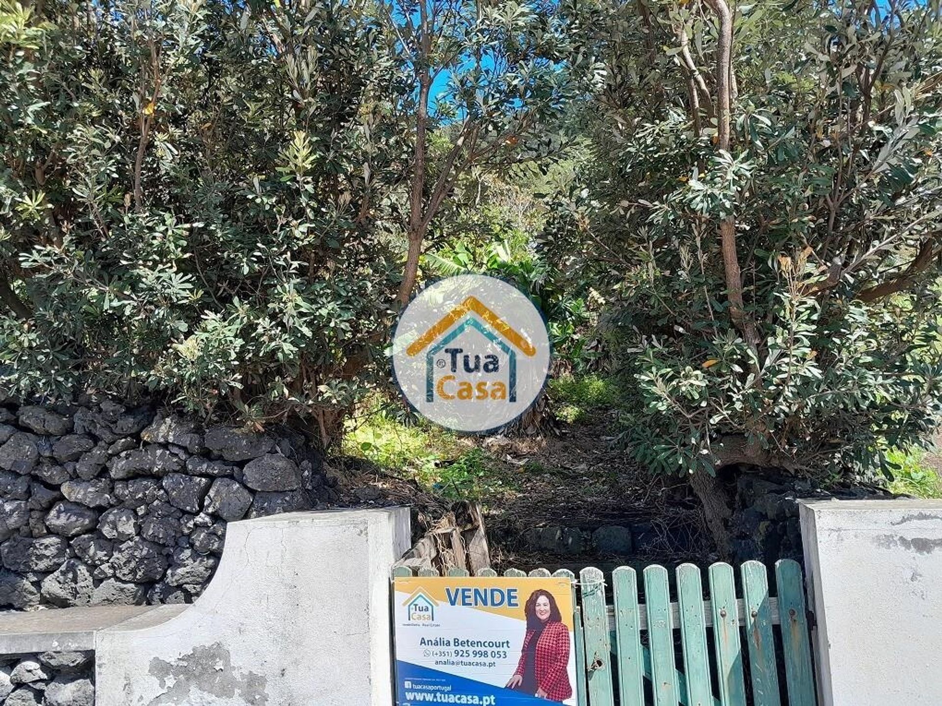 土地 在 Calheta, Azores 12148357