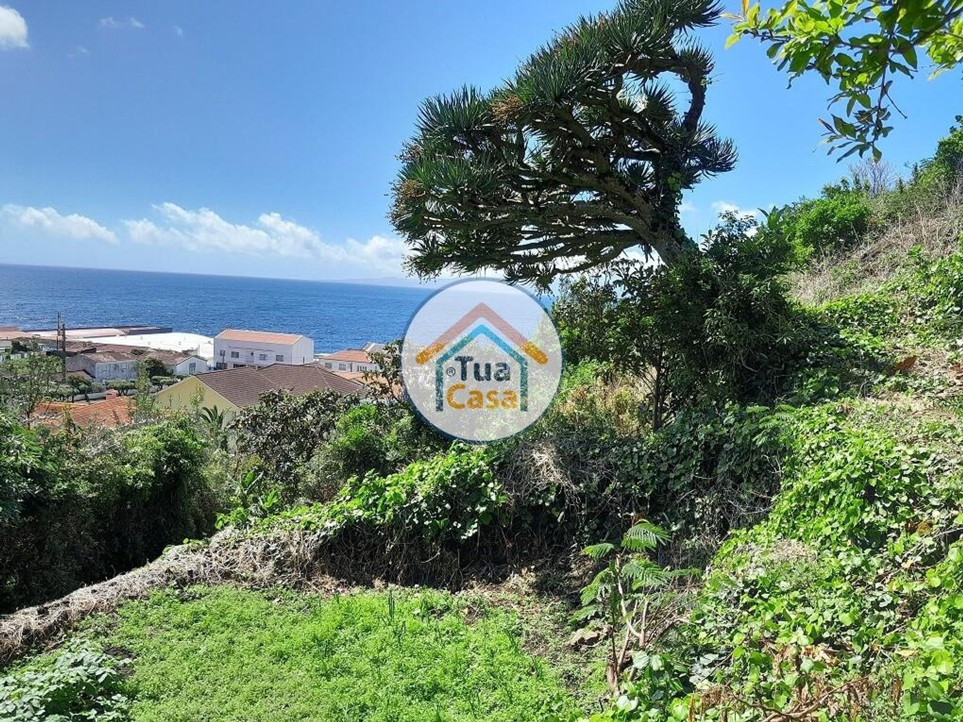 Terra no Calheta, Azores 12148357