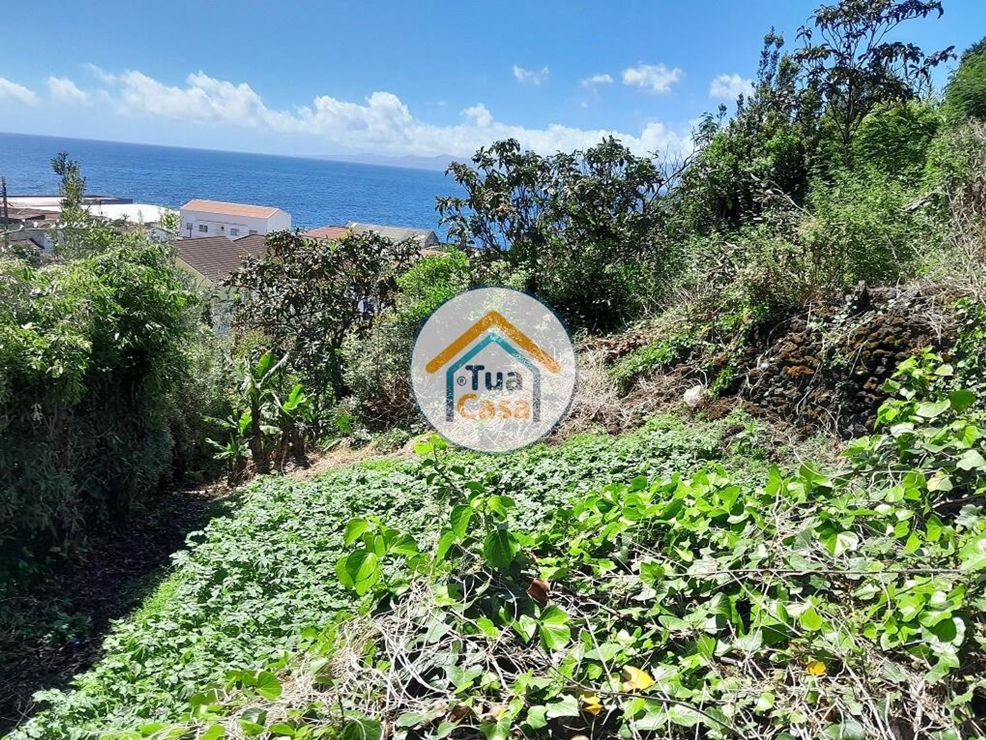 Terra no Calheta, Azores 12148357