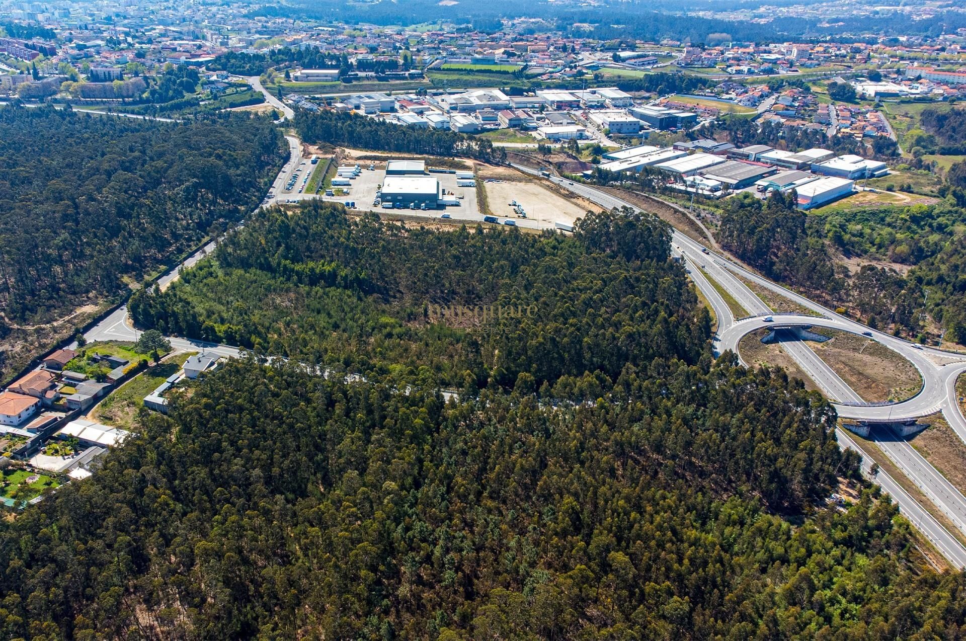 Terra no Milheirós de Poiares, Aveiro 12148368