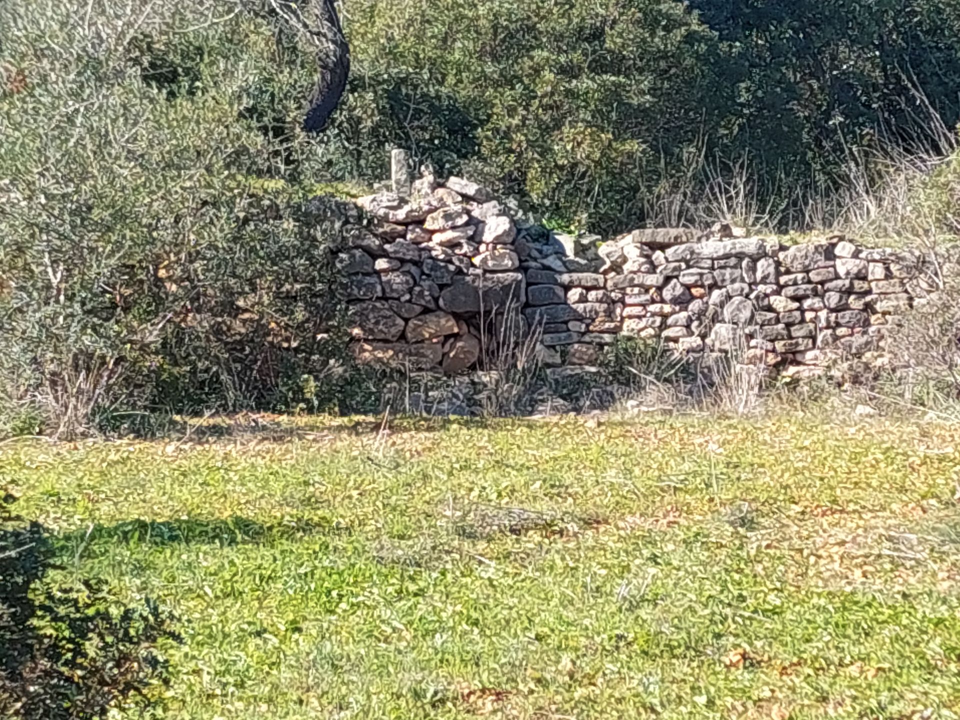 Terre dans Estoi, Faro 12150432