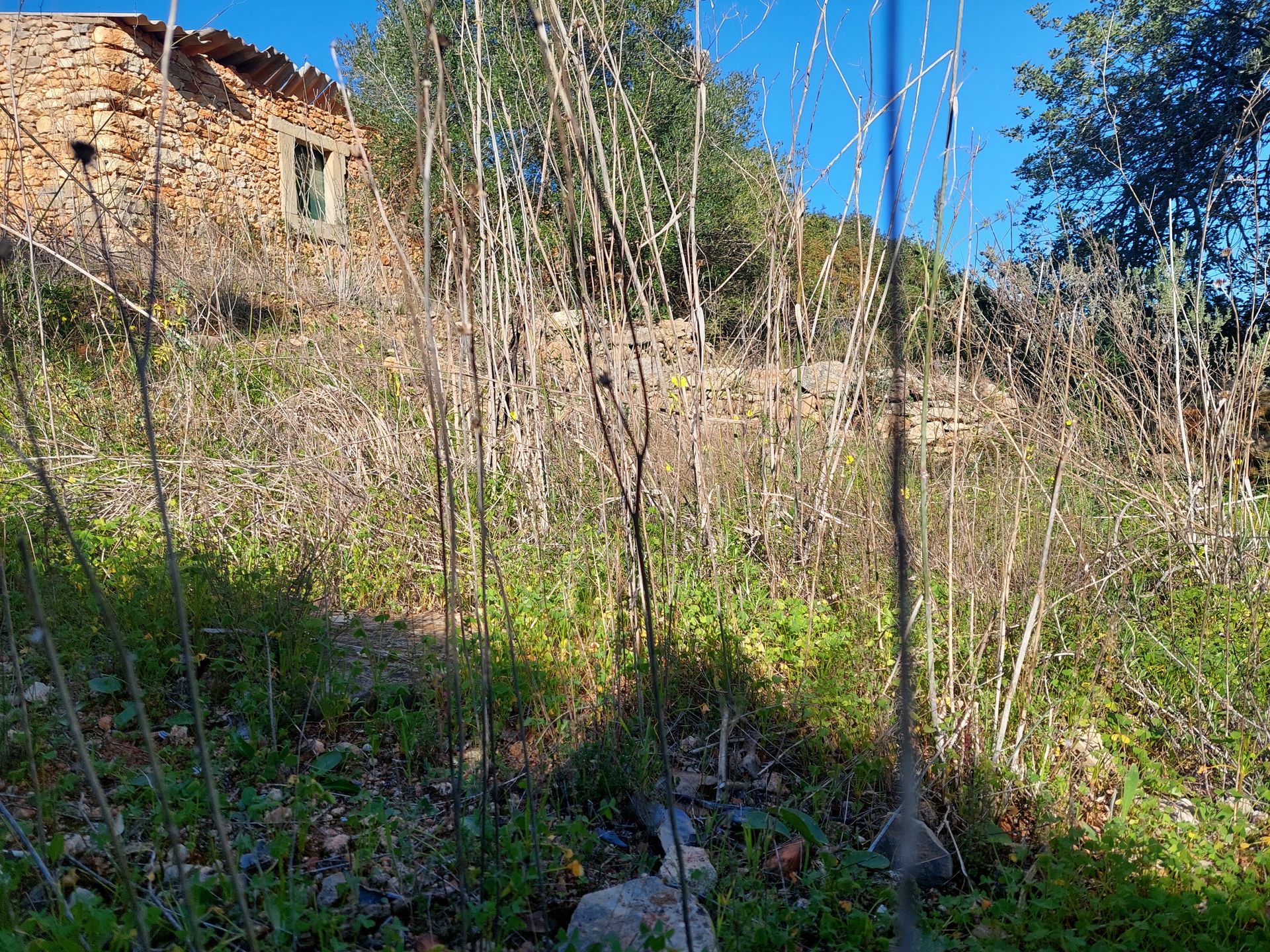 Land in Estoi, Faro 12150432