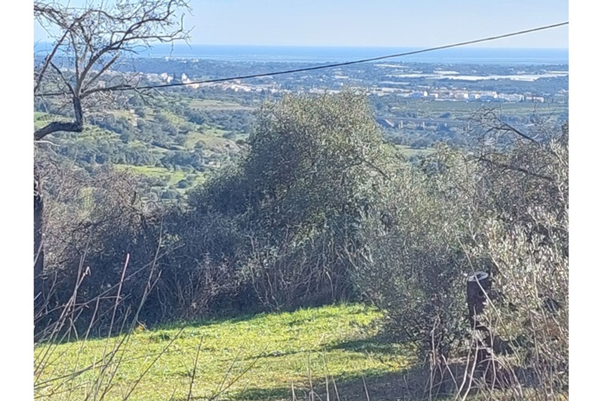 Terre dans Estoi, Faro 12150432