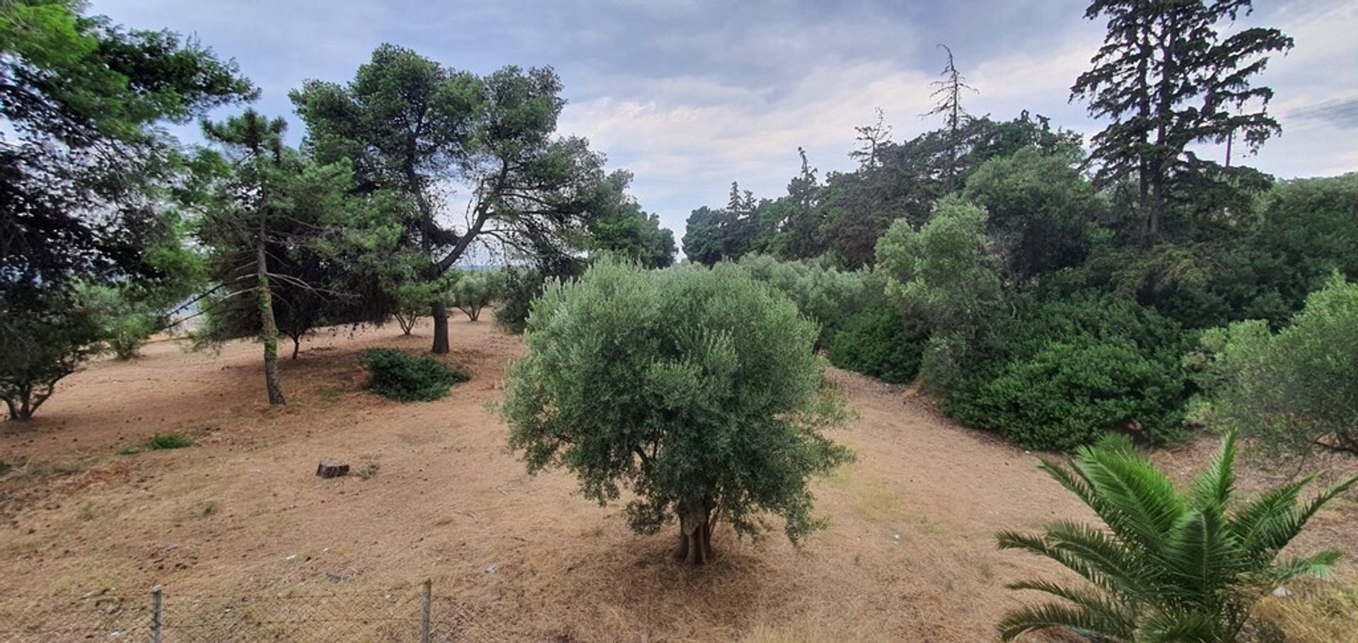 קוֹנדוֹמִינִיוֹן ב ג'רקיני, קנטריקי מקדוניה 12150636