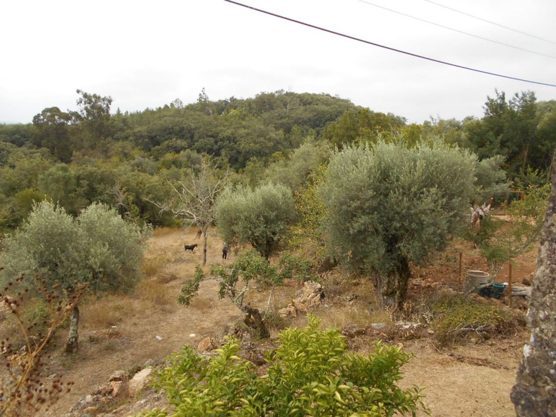 casa en Ansião, Leiria District 12151724