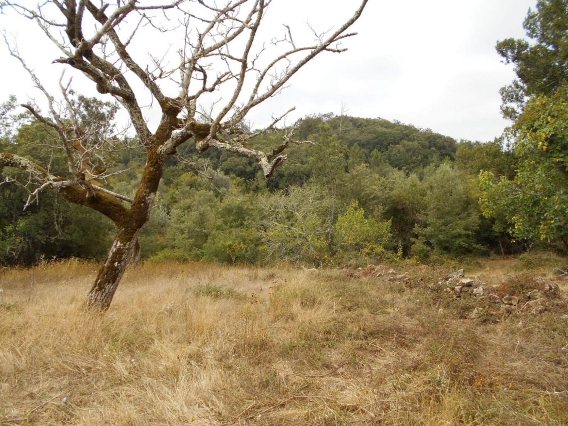 rumah dalam Ansião, Leiria District 12151724