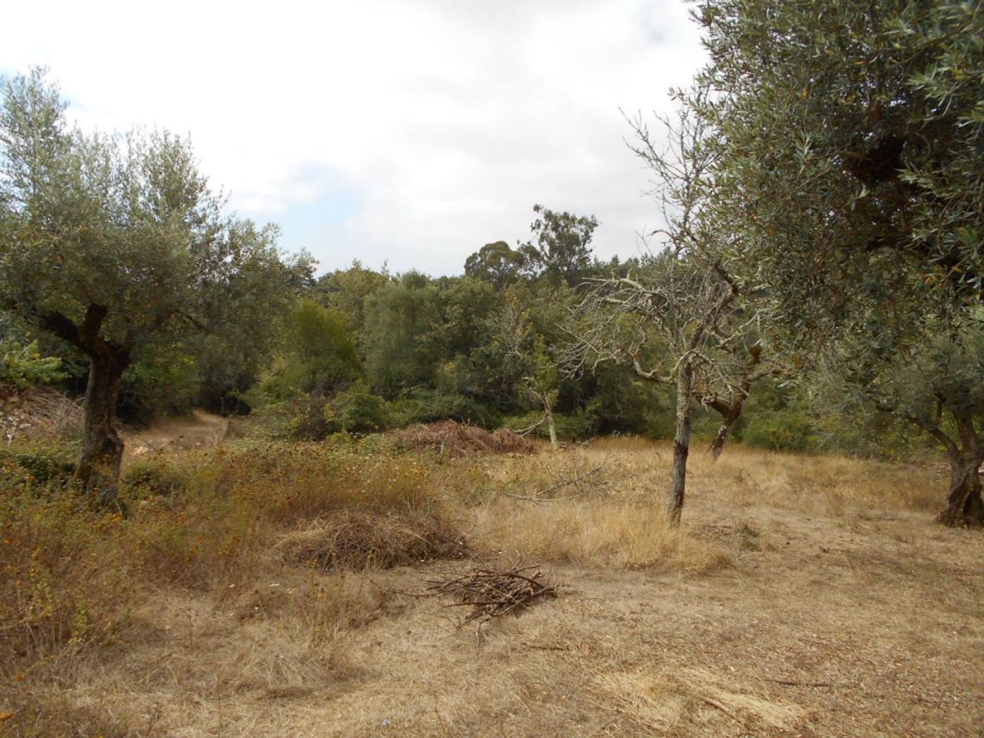 casa en Ansião, Leiria District 12151724