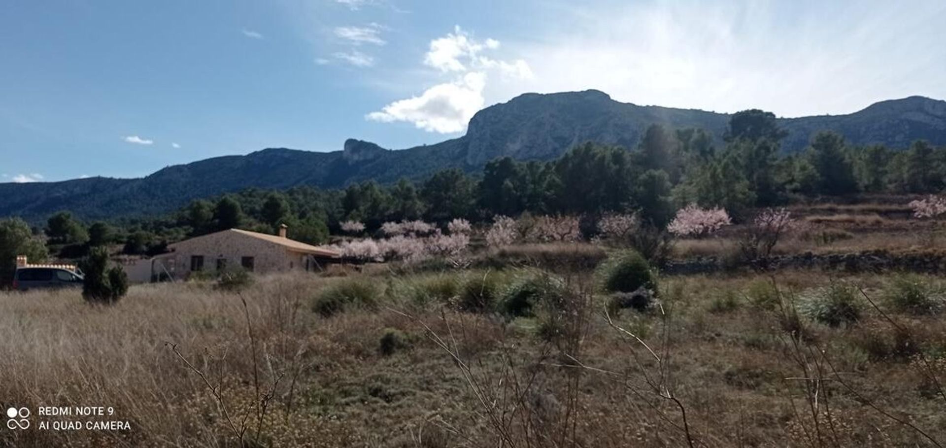 Terra no La Romana, Alicante, Valencian Community 12152098