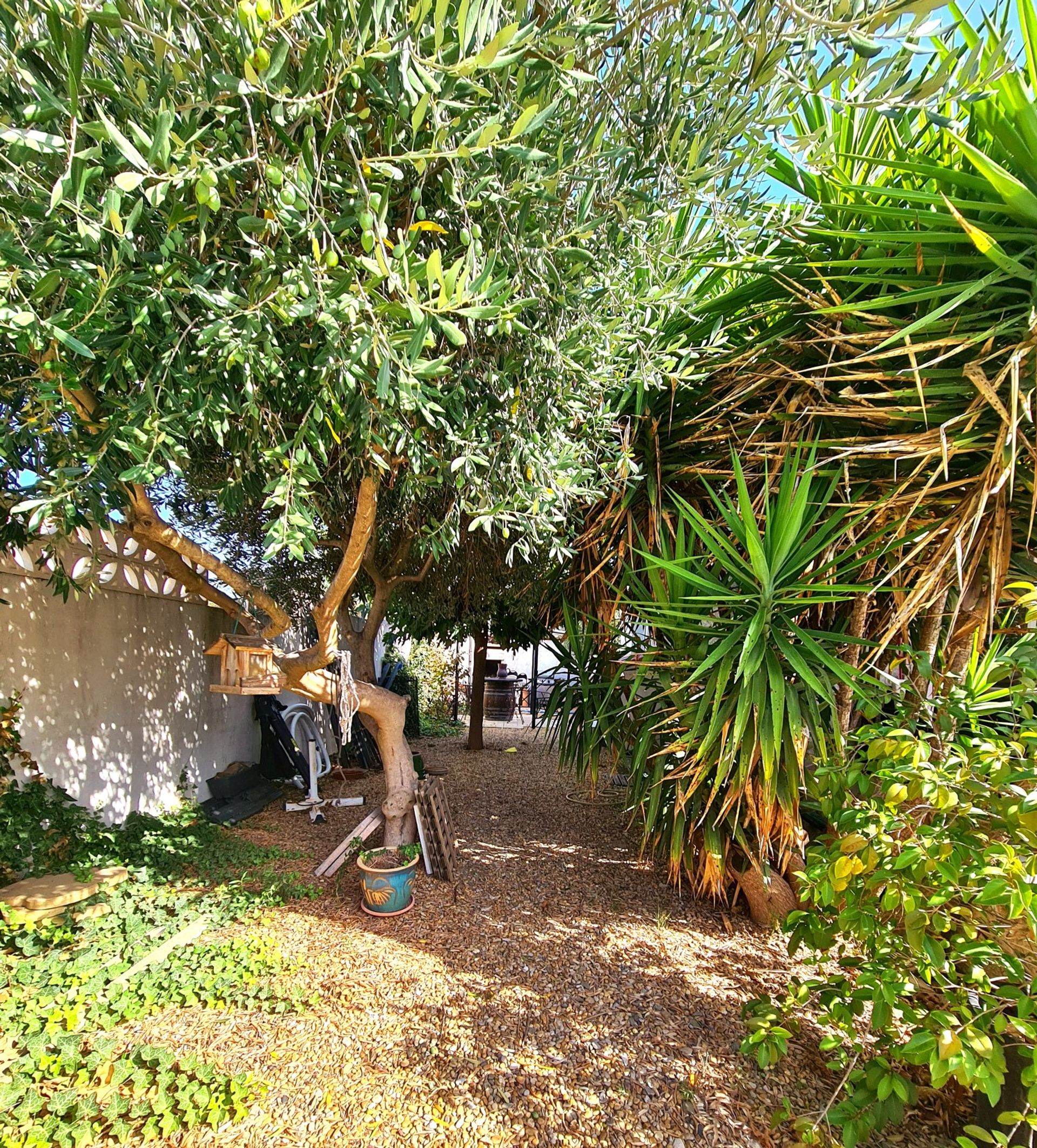 loger dans Béziers, Occitanie 12152657