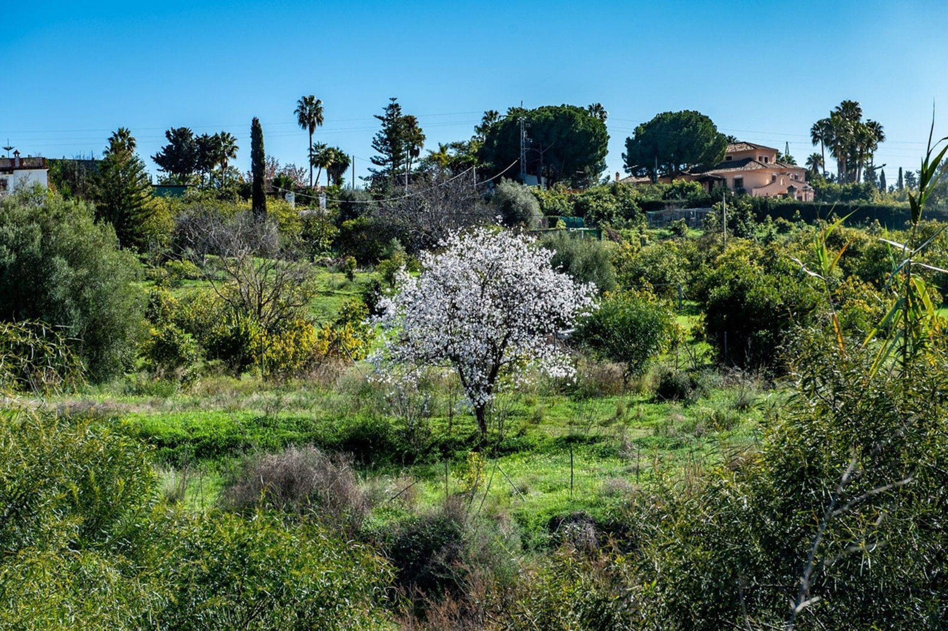 Земельные участки в Marbella, Andalucía 12152678