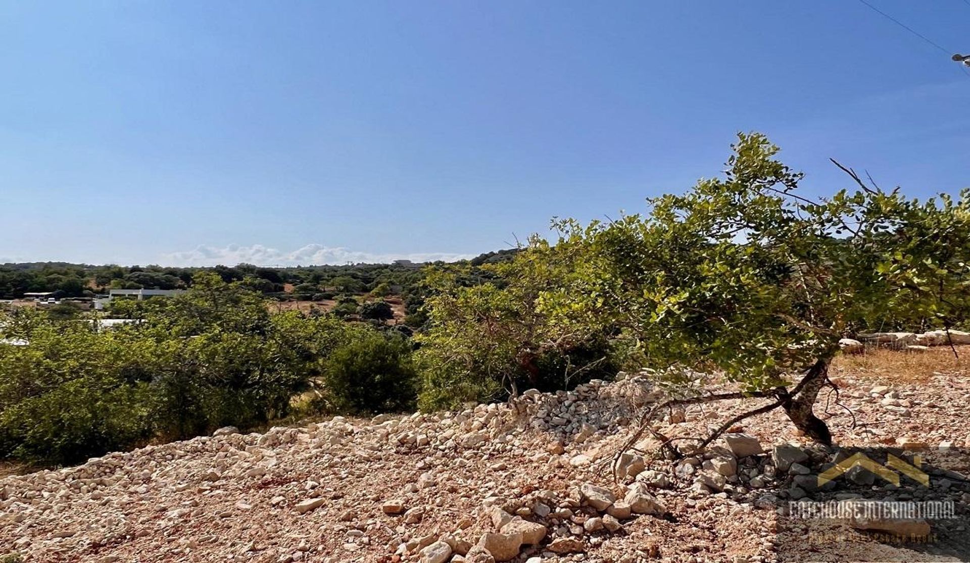 Land i Poco Novo, Faro 12152749