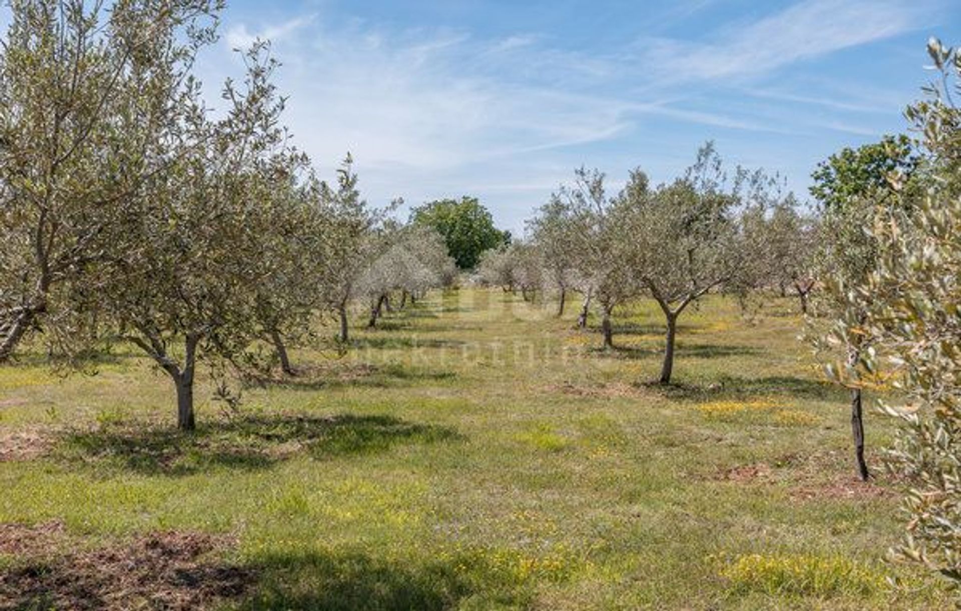 بيت في Vodnjan, Istria County 12154287