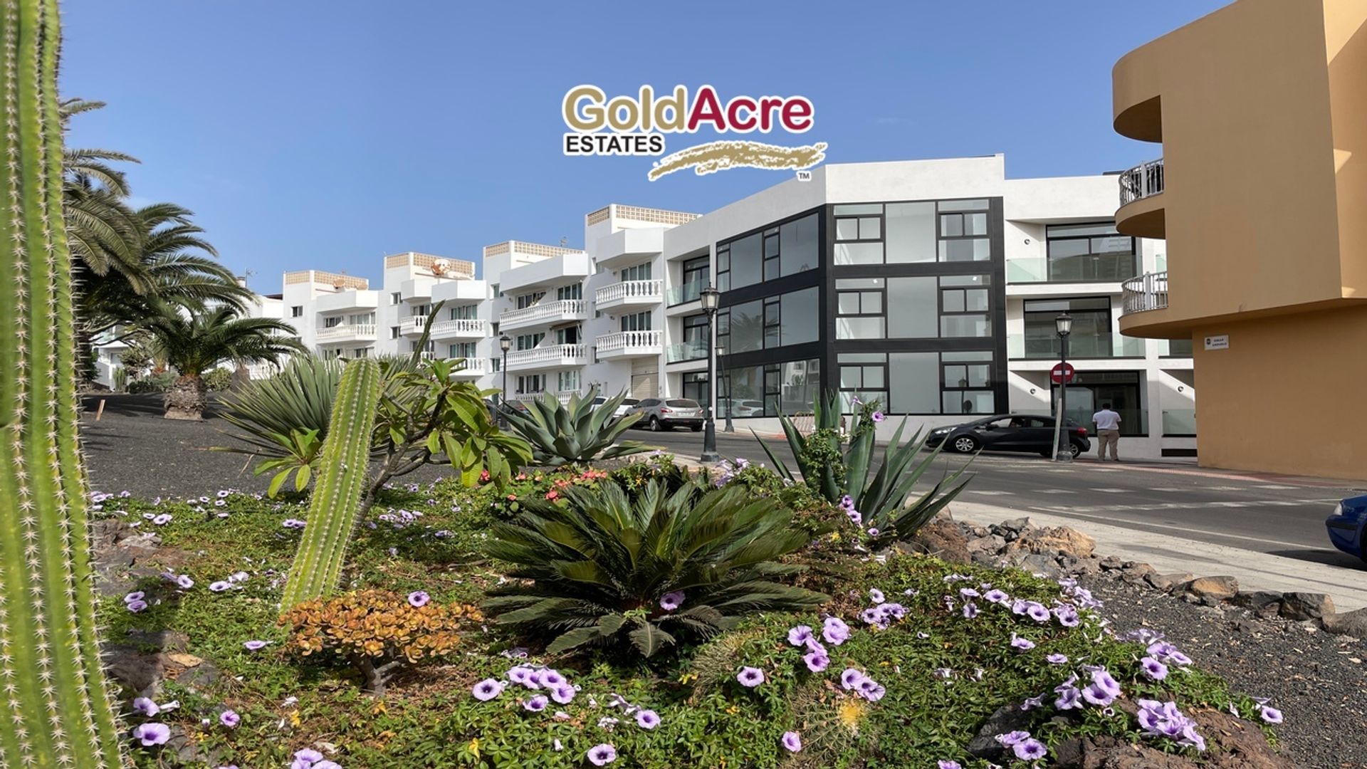 Borettslag i Corralejo, Canarias 12155798