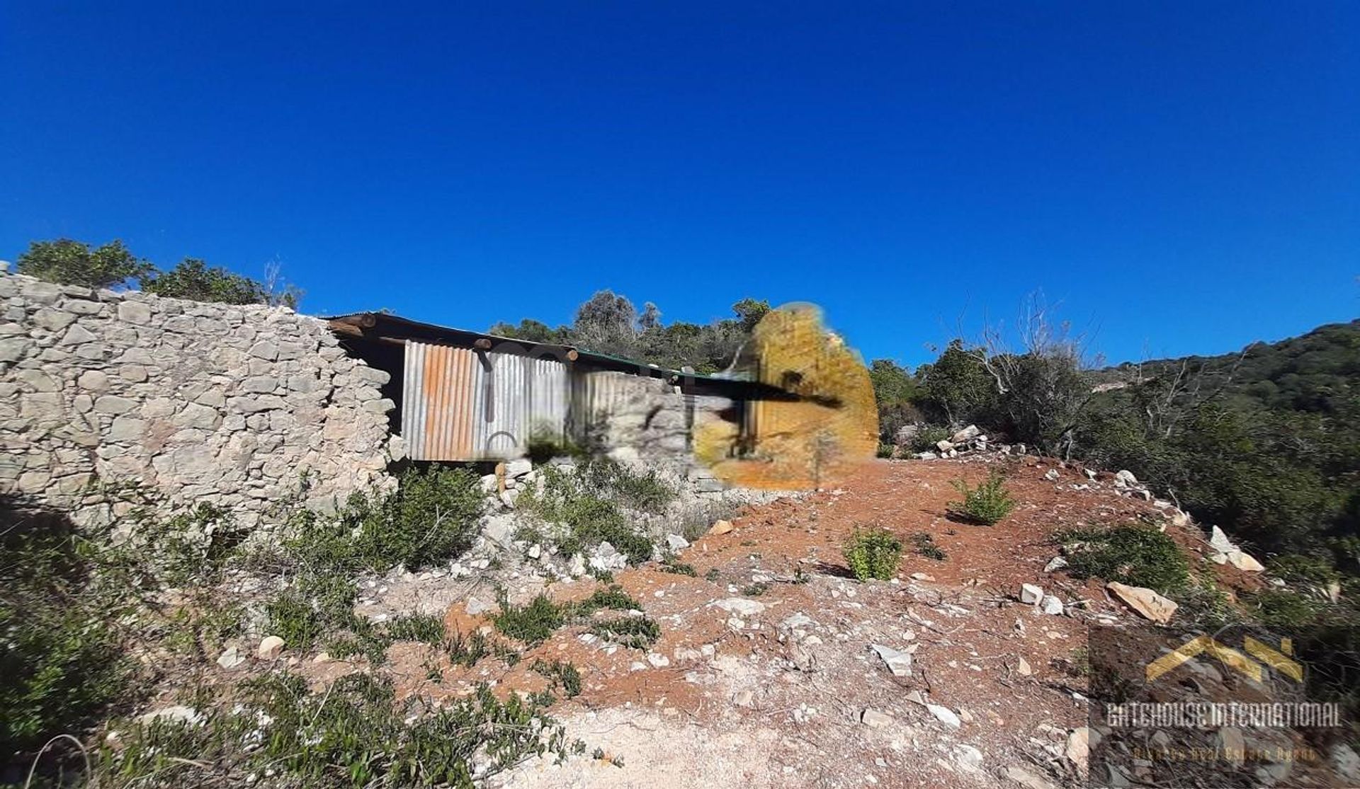 Tierra en Goldra, Faraón 12156440