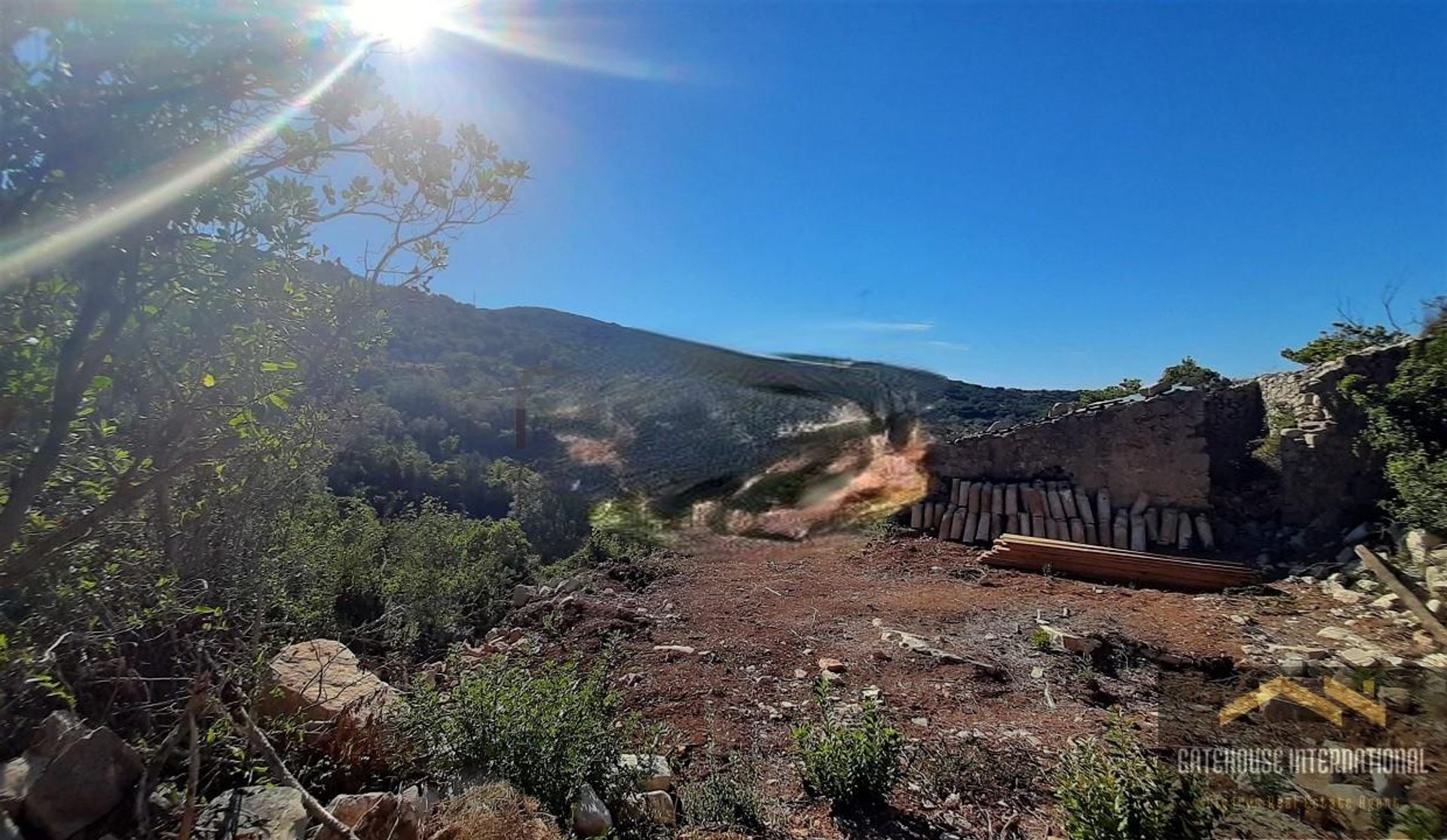 Tierra en Goldra, Faraón 12156440