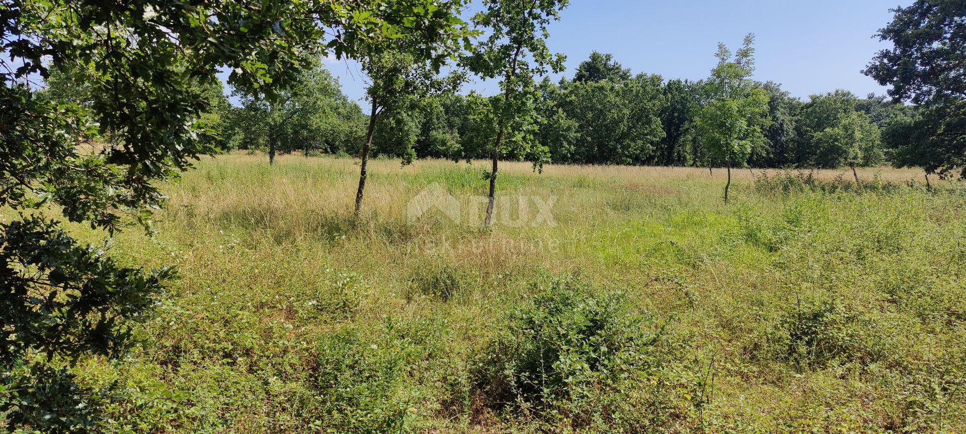 Land in Visnjan, Istarska Zupanija 12158092