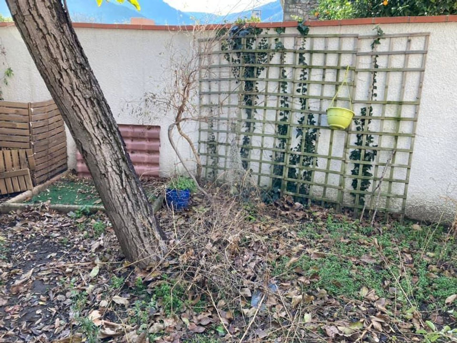 loger dans Sorède, Occitanie 12160764