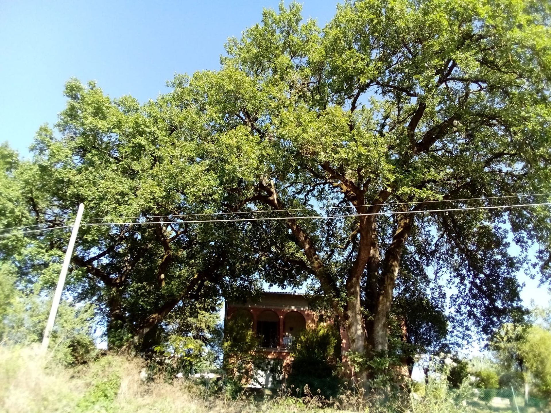 بيت في Pianello, Umbria 12162366