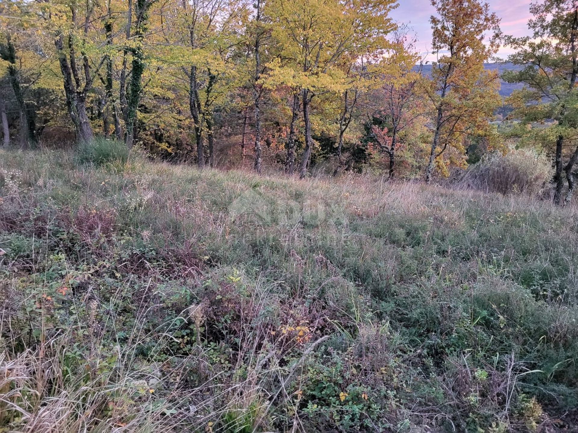 Tierra en Groznjan, Istarska Županija 12162519