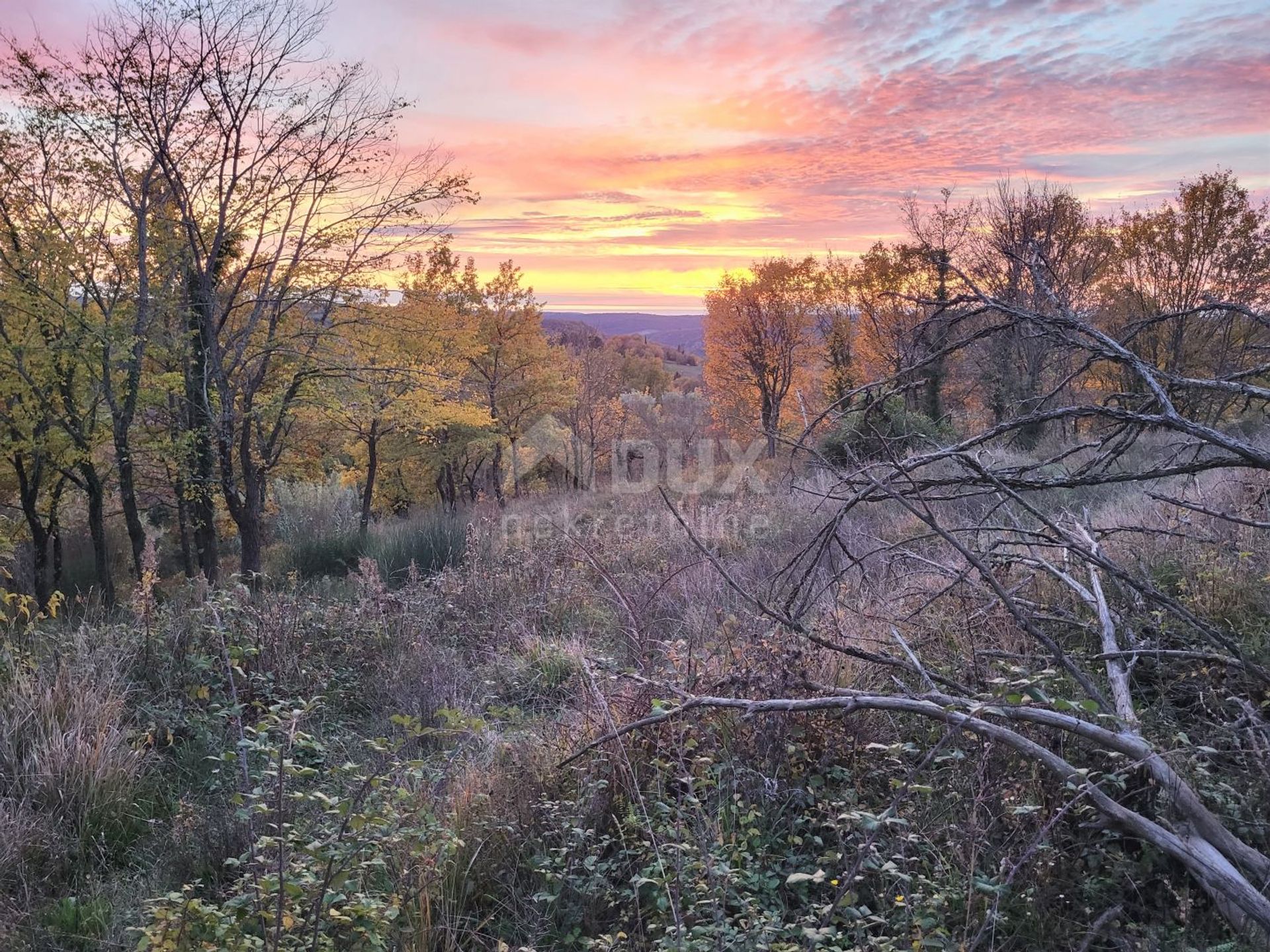 Kommerciel i Grožnjan, Istria County 12162519