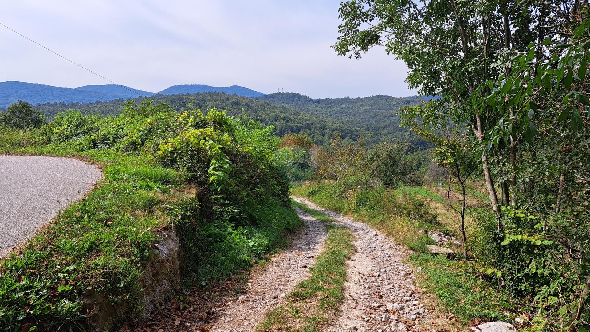 Hus i Ilirska Bistrica, Ilirska Bistrica 12164562