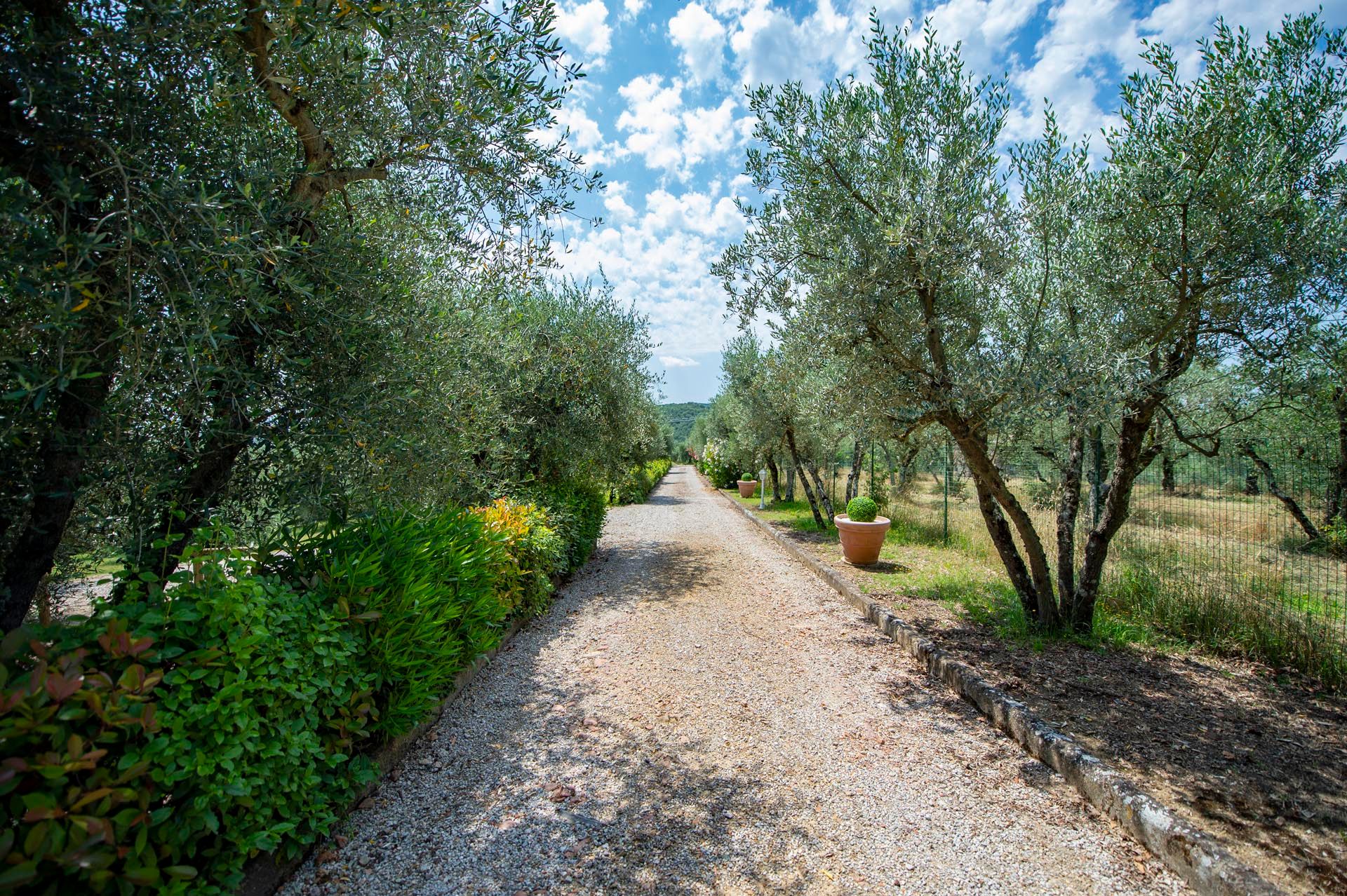 房子 在 Sinalunga, Tuscany 12165803