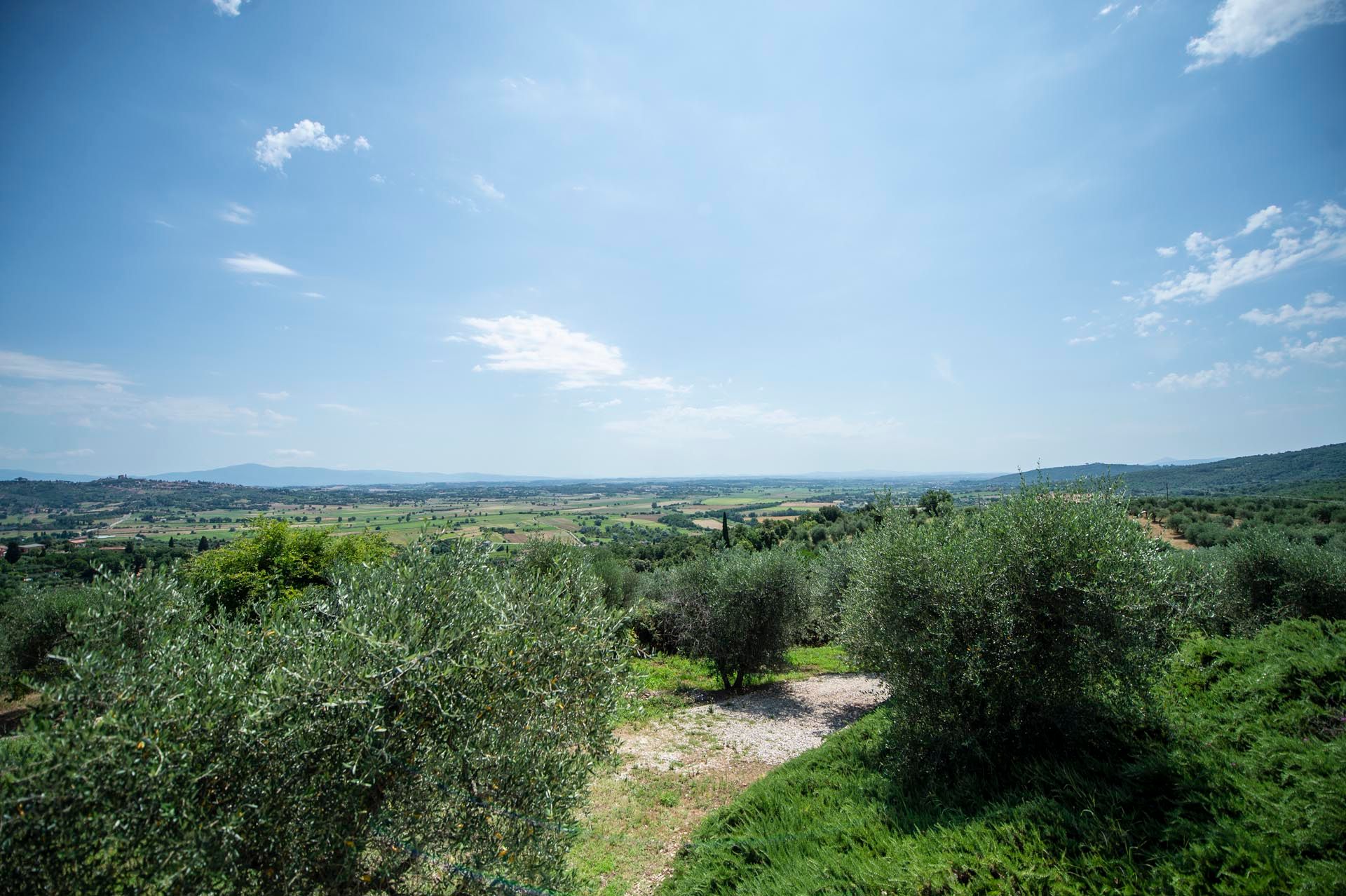 casa en Sinalunga, Tuscany 12171962