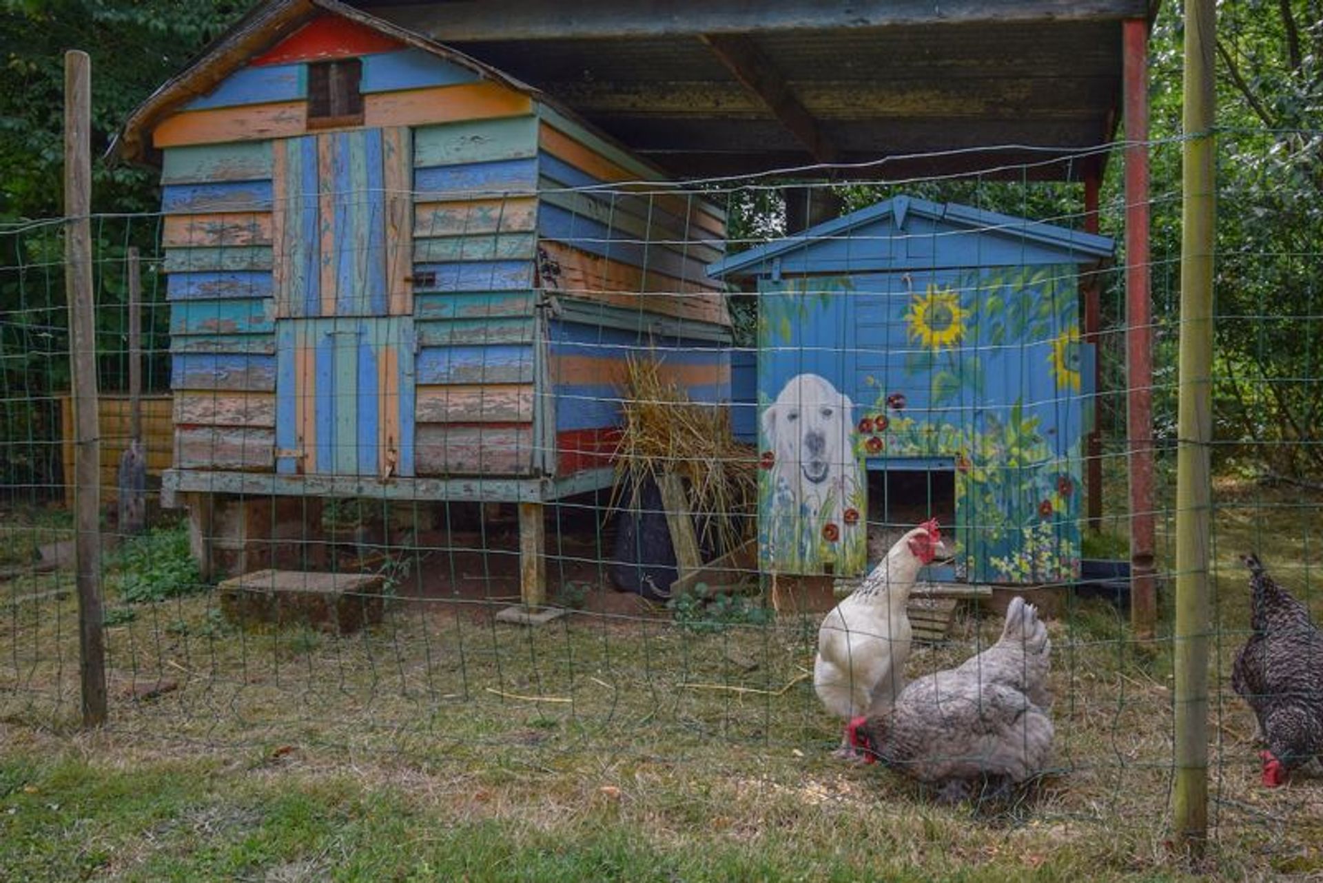 casa en Savigné, Nouvelle-Aquitaine 12172042