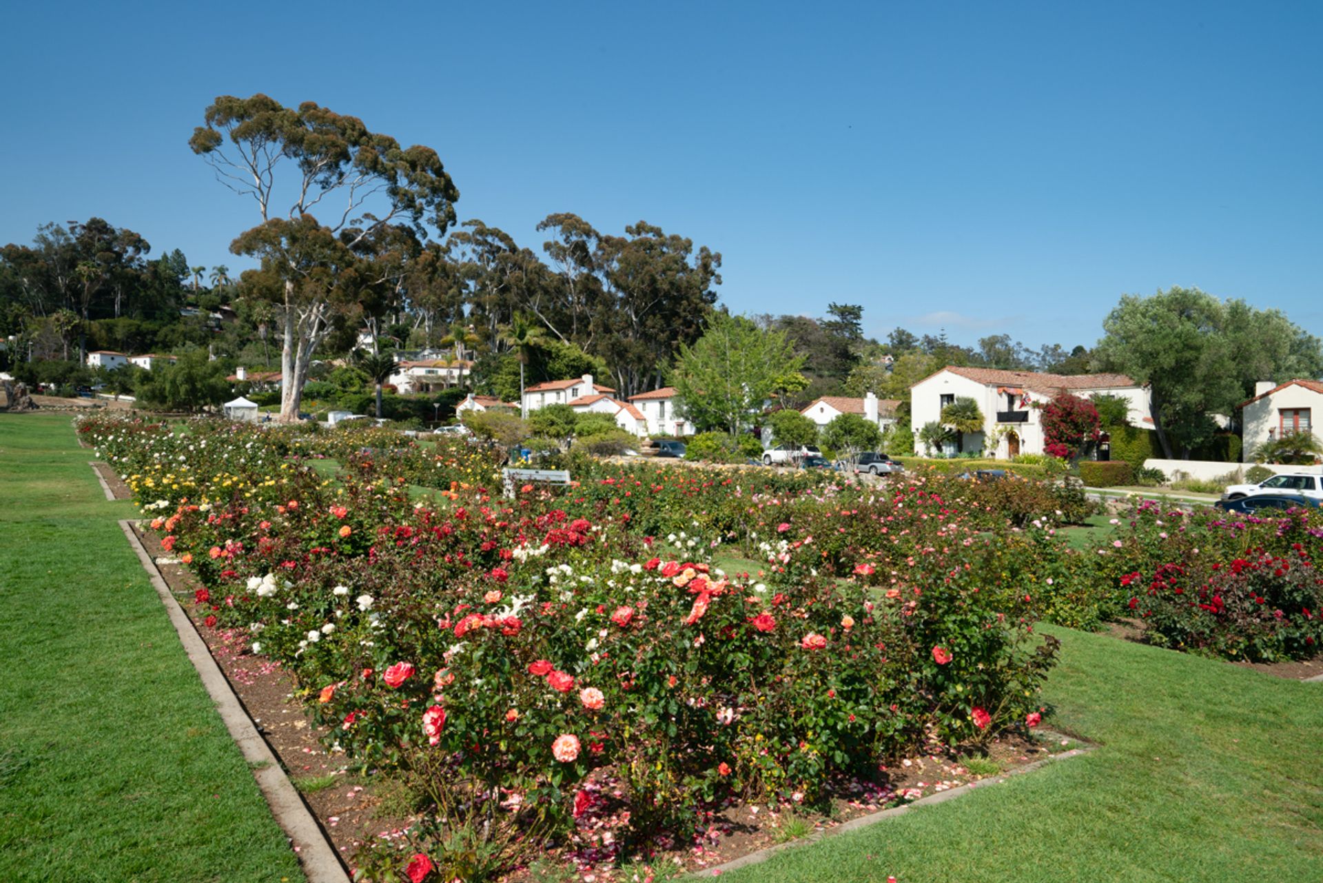 σπίτι σε Santa Barbara, 321 East Islay Street 12177533