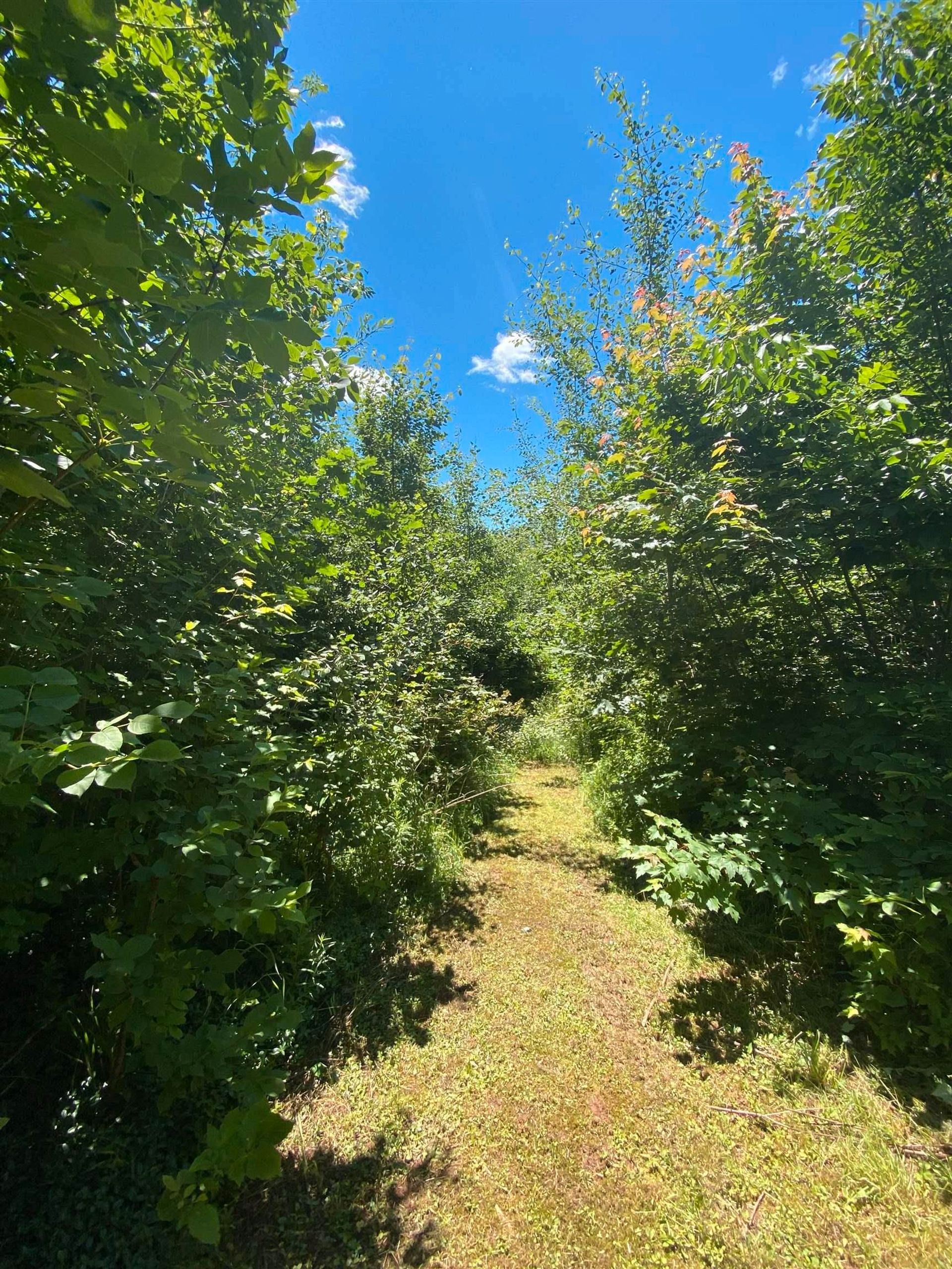 Land in Canning, Nova Scotia 12180686