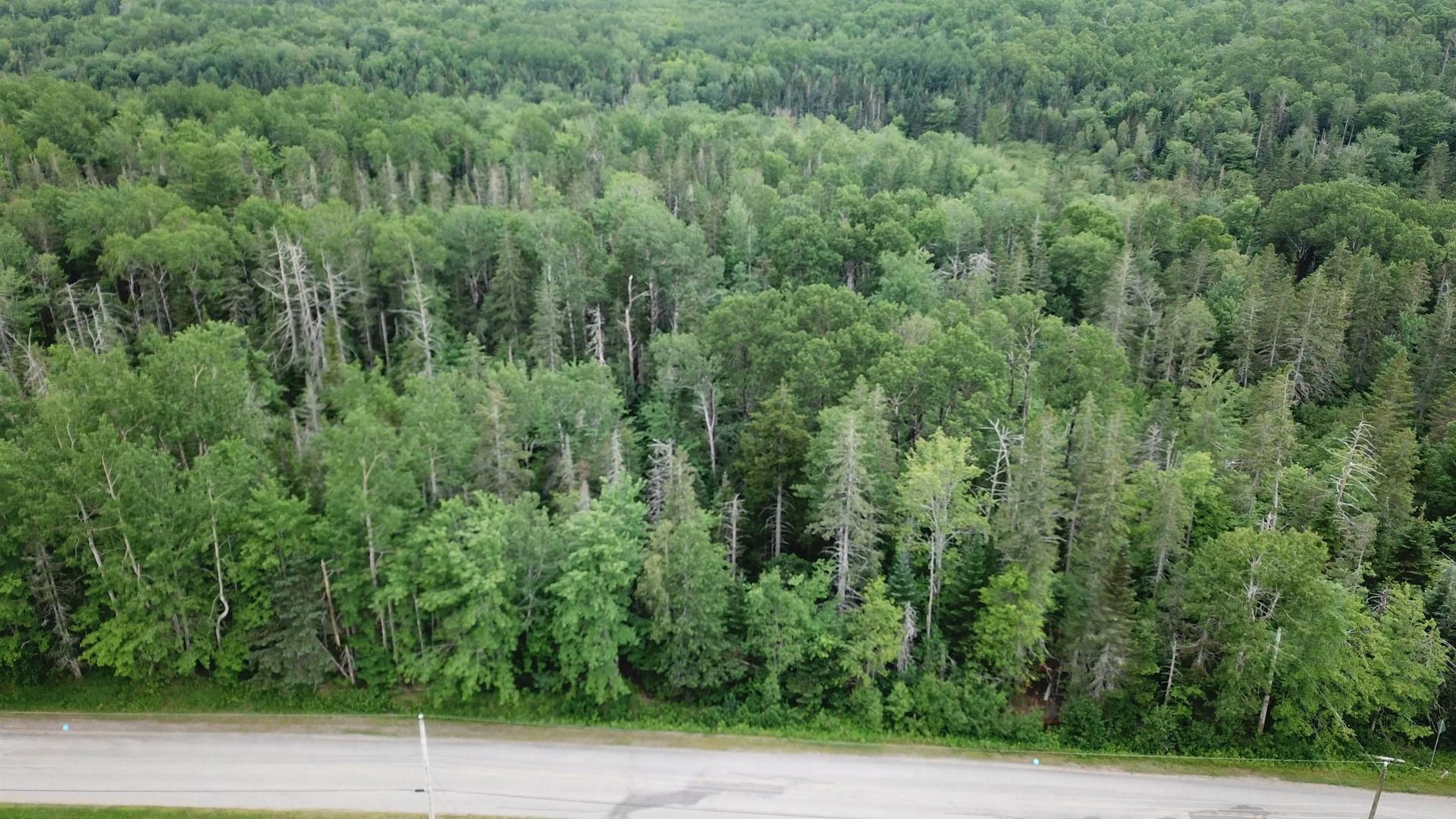 الأرض في Wolfville, مقاطعة نفوفا سكوشيا 12180707