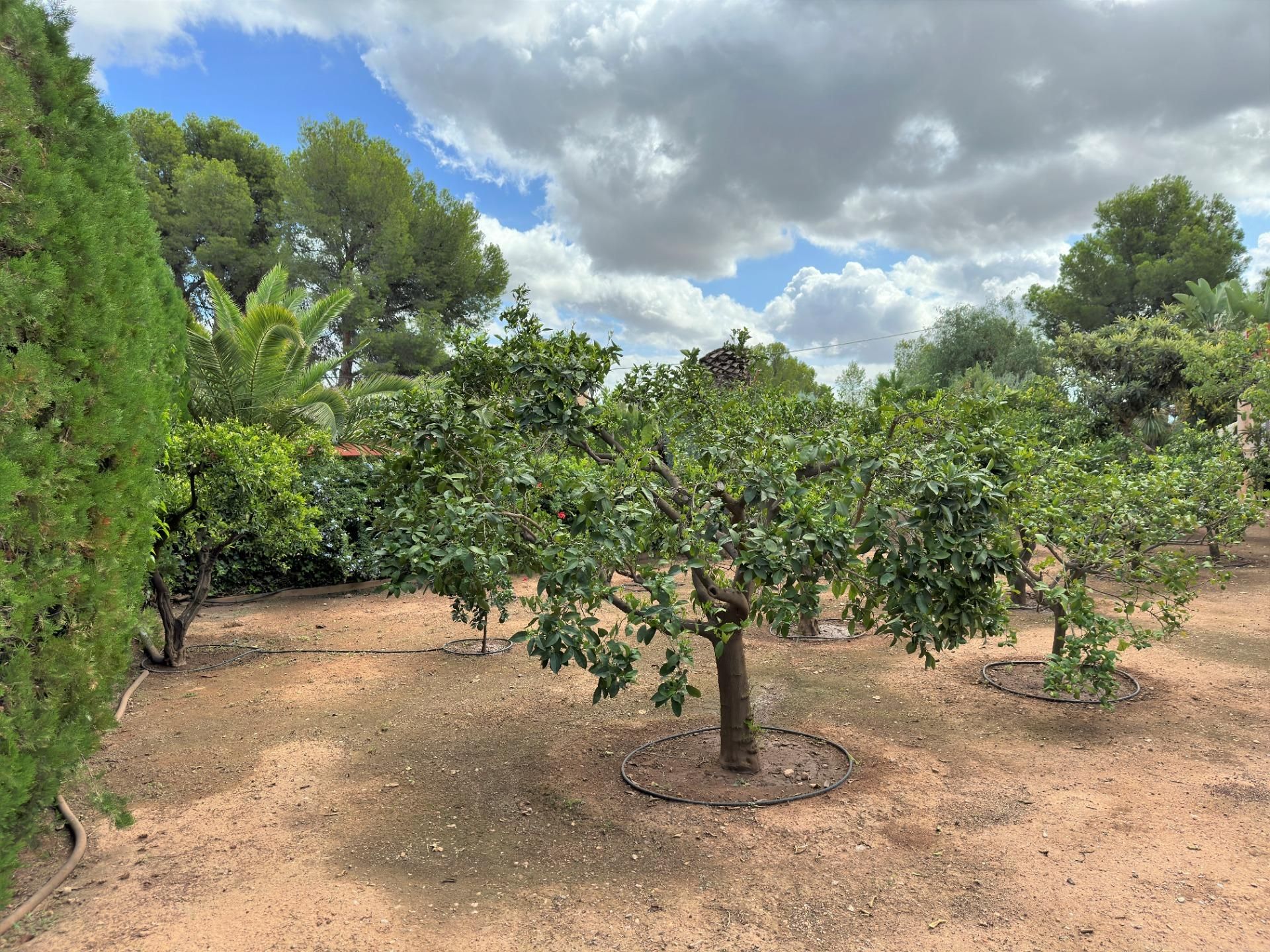 loger dans Náquera, Valencian Community 12181354