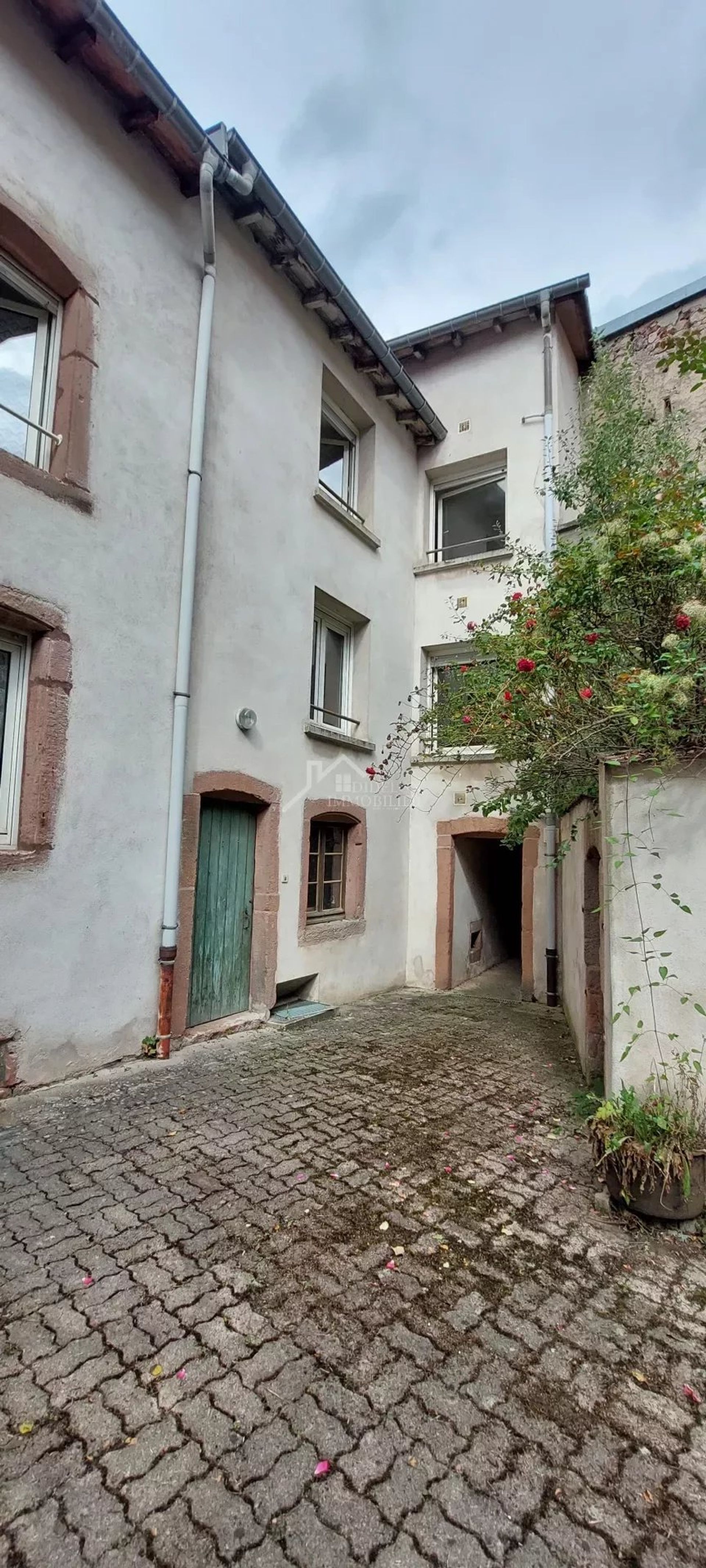 Comercial en Saint-Dié-des-Vosges, Vosges 12183737