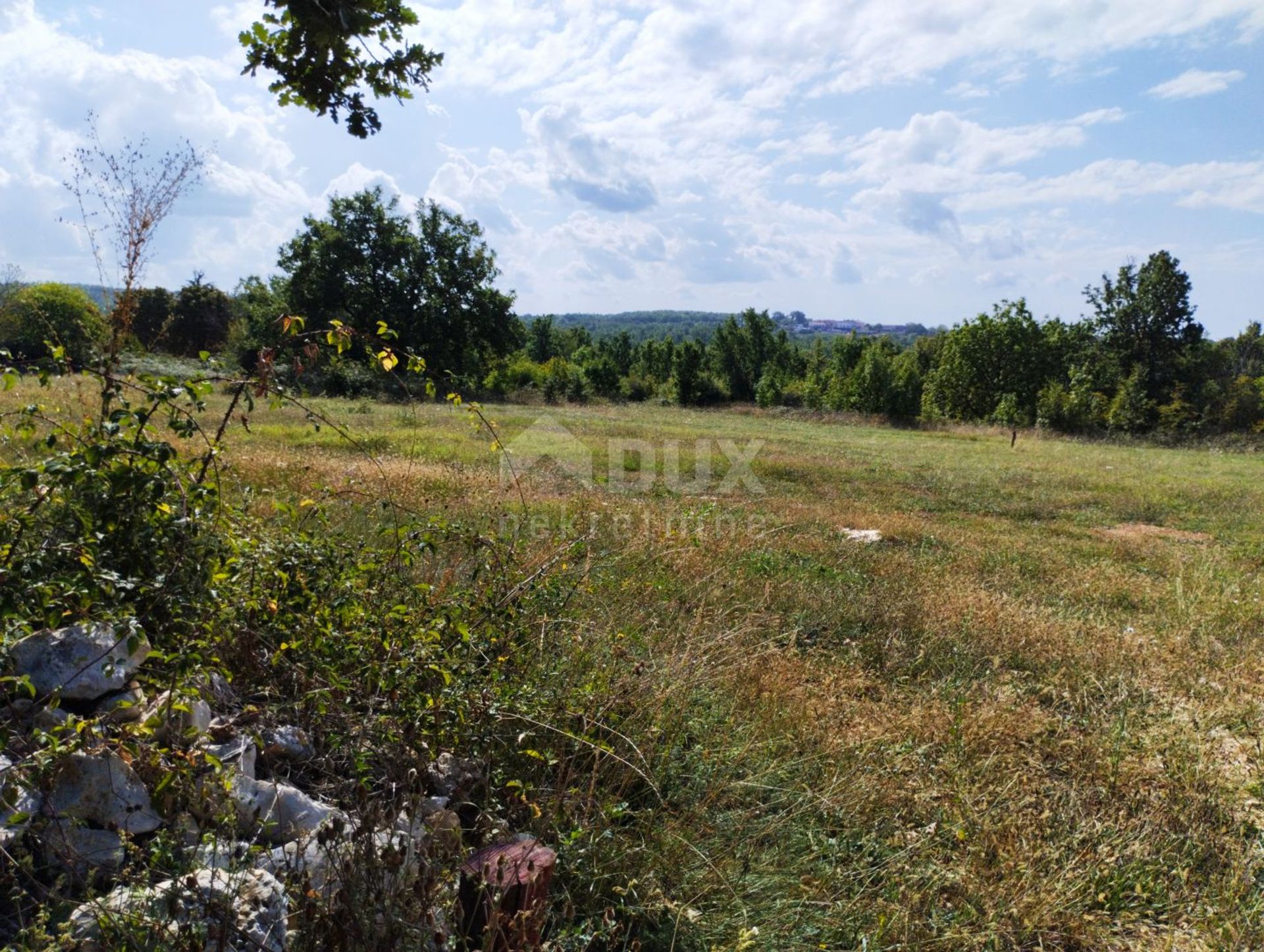 Land in Visnjan, Istarska Zupanija 12184189