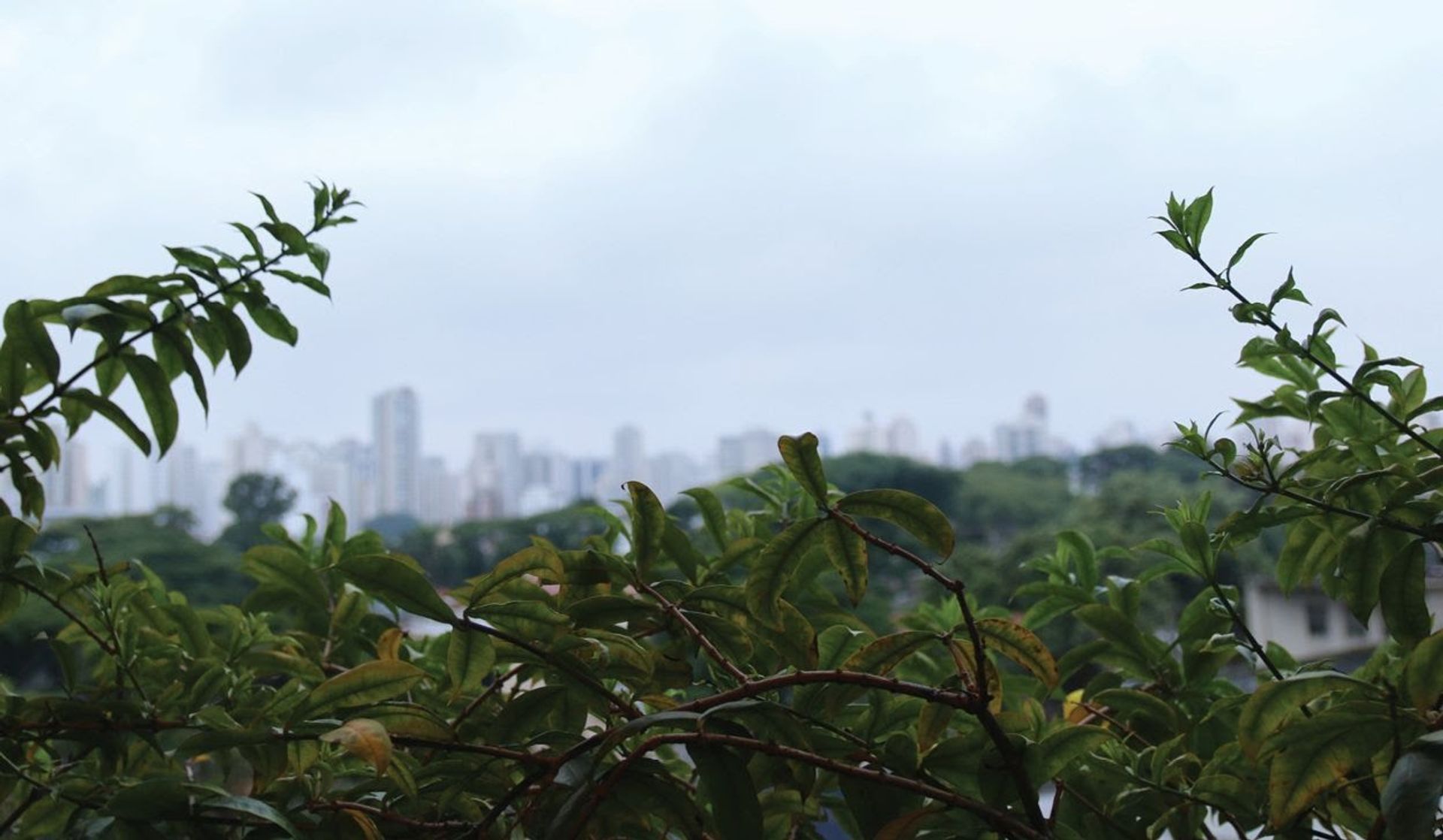 Другой в , São Paulo 12188683