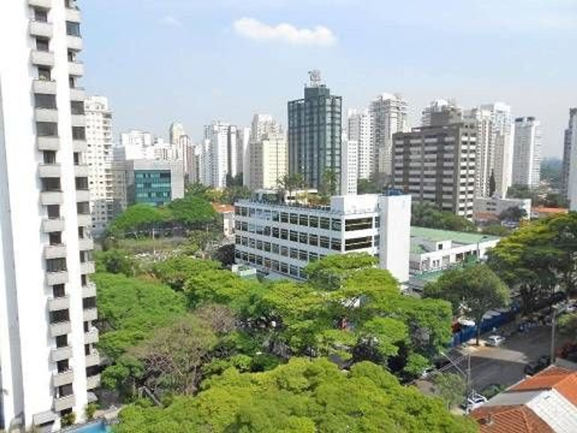 Autre dans Ibirapuera, São Paulo 12188693