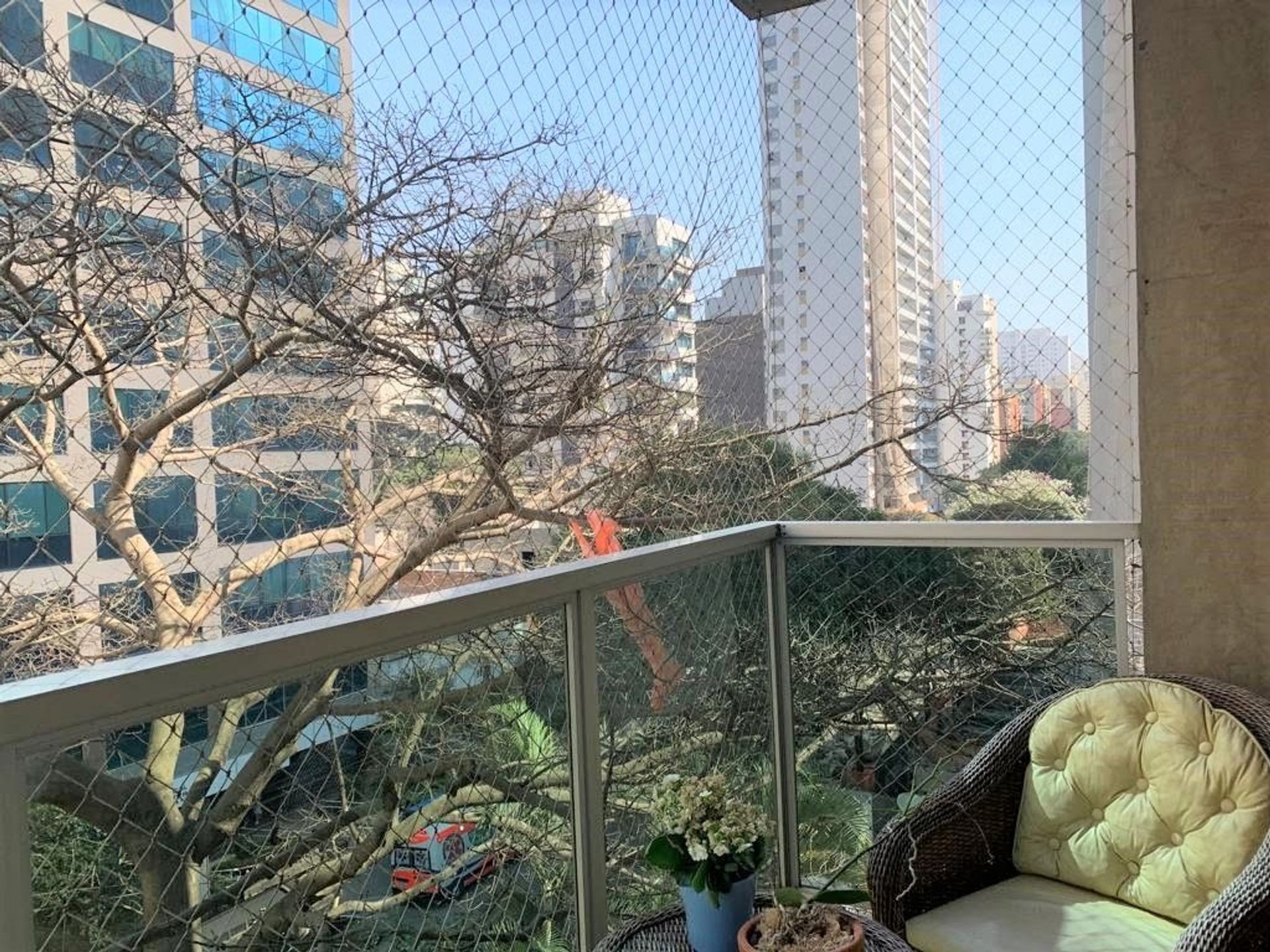 Yang lain dalam Ibirapuera, Sao Paulo 12188829