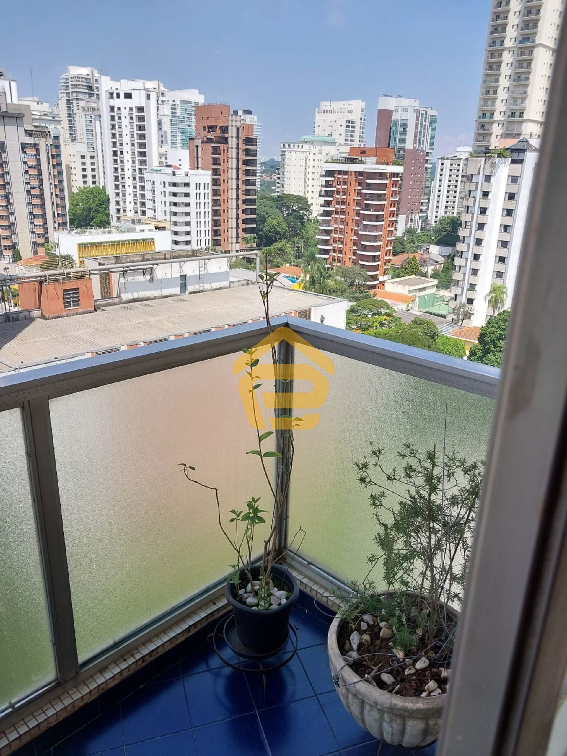 अन्य में , São Paulo 12188872