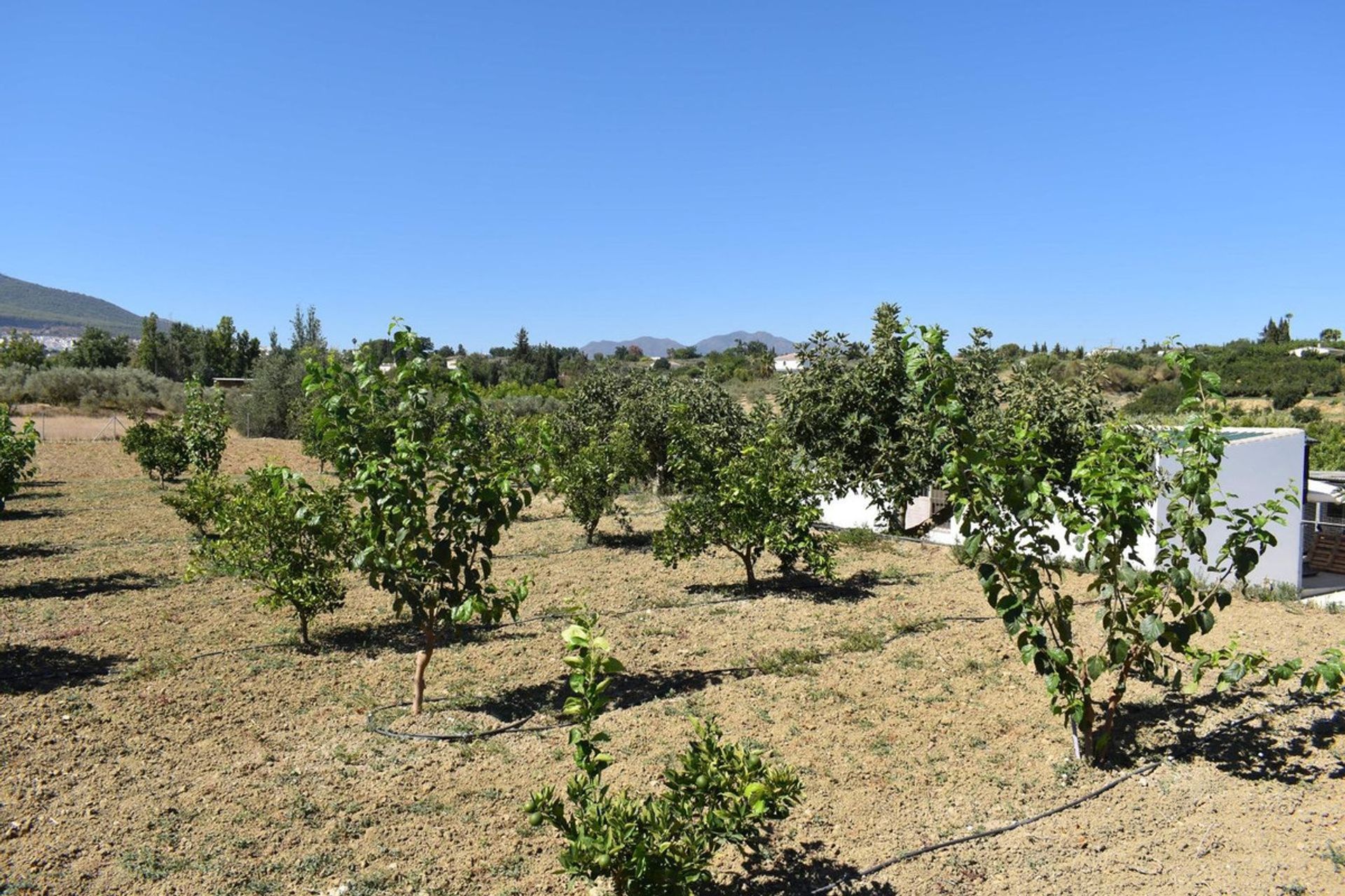 بيت في Alhaurín el Grande, Andalusia 12192017