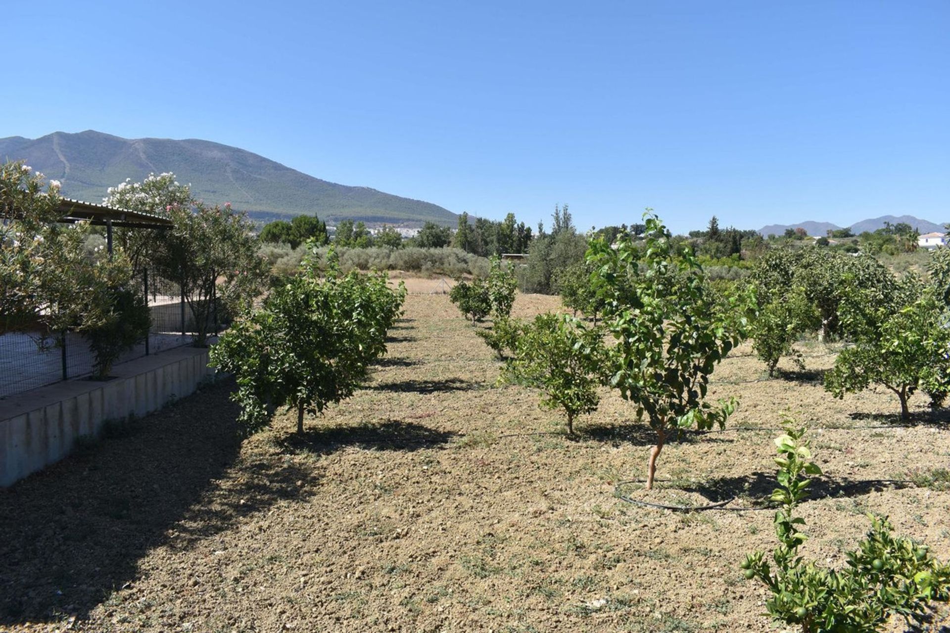 بيت في Alhaurín el Grande, Andalusia 12192017