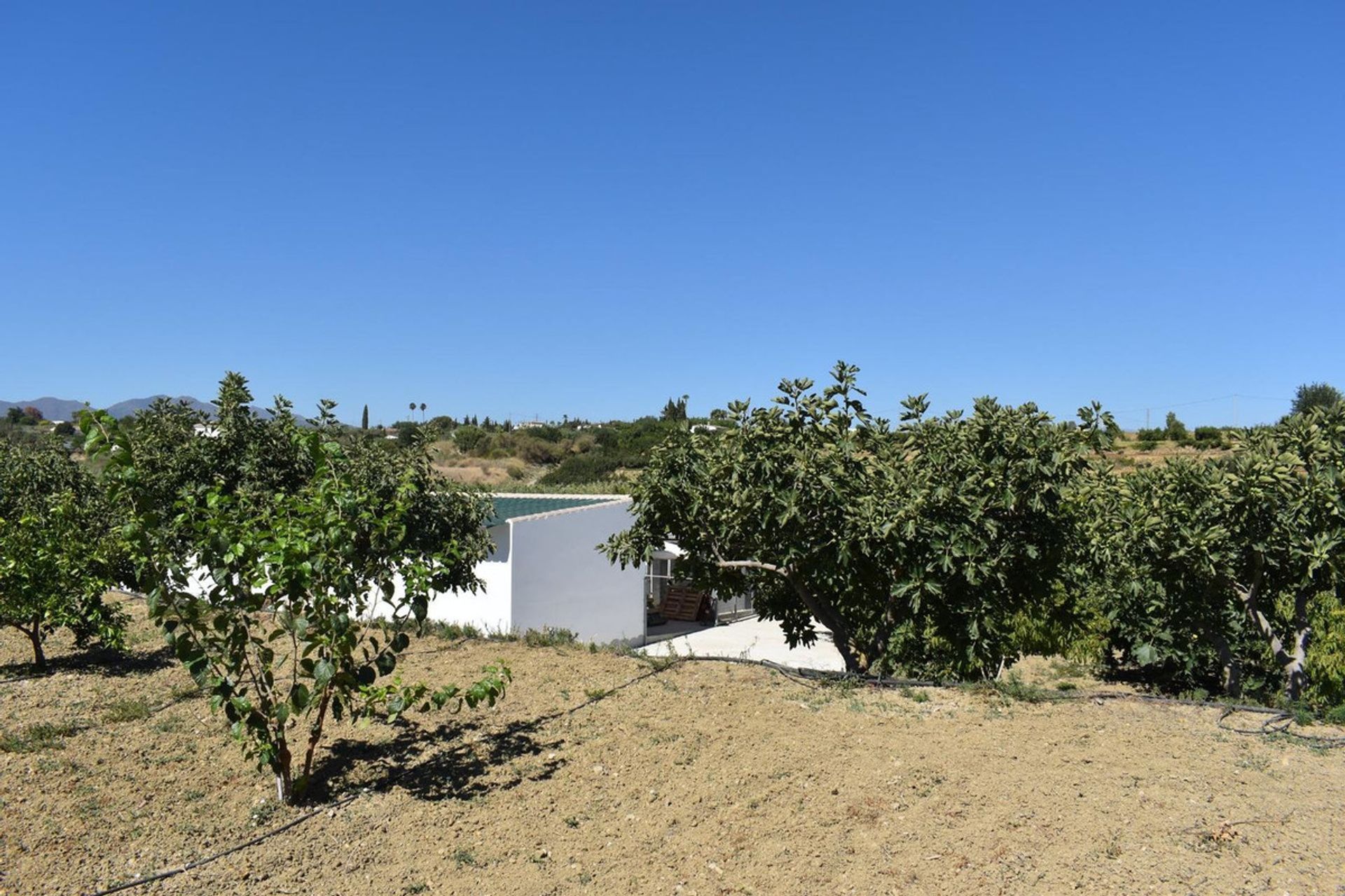 بيت في Alhaurín el Grande, Andalusia 12192017