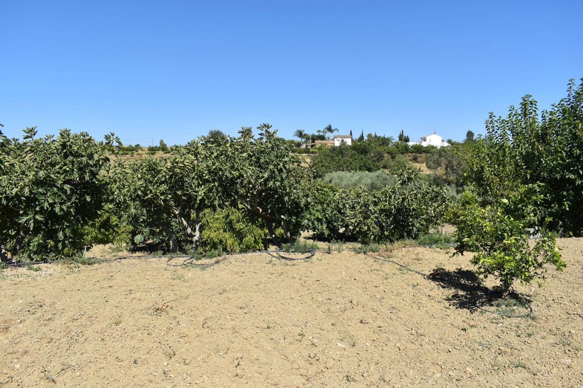 بيت في Alhaurín el Grande, Andalusia 12192017