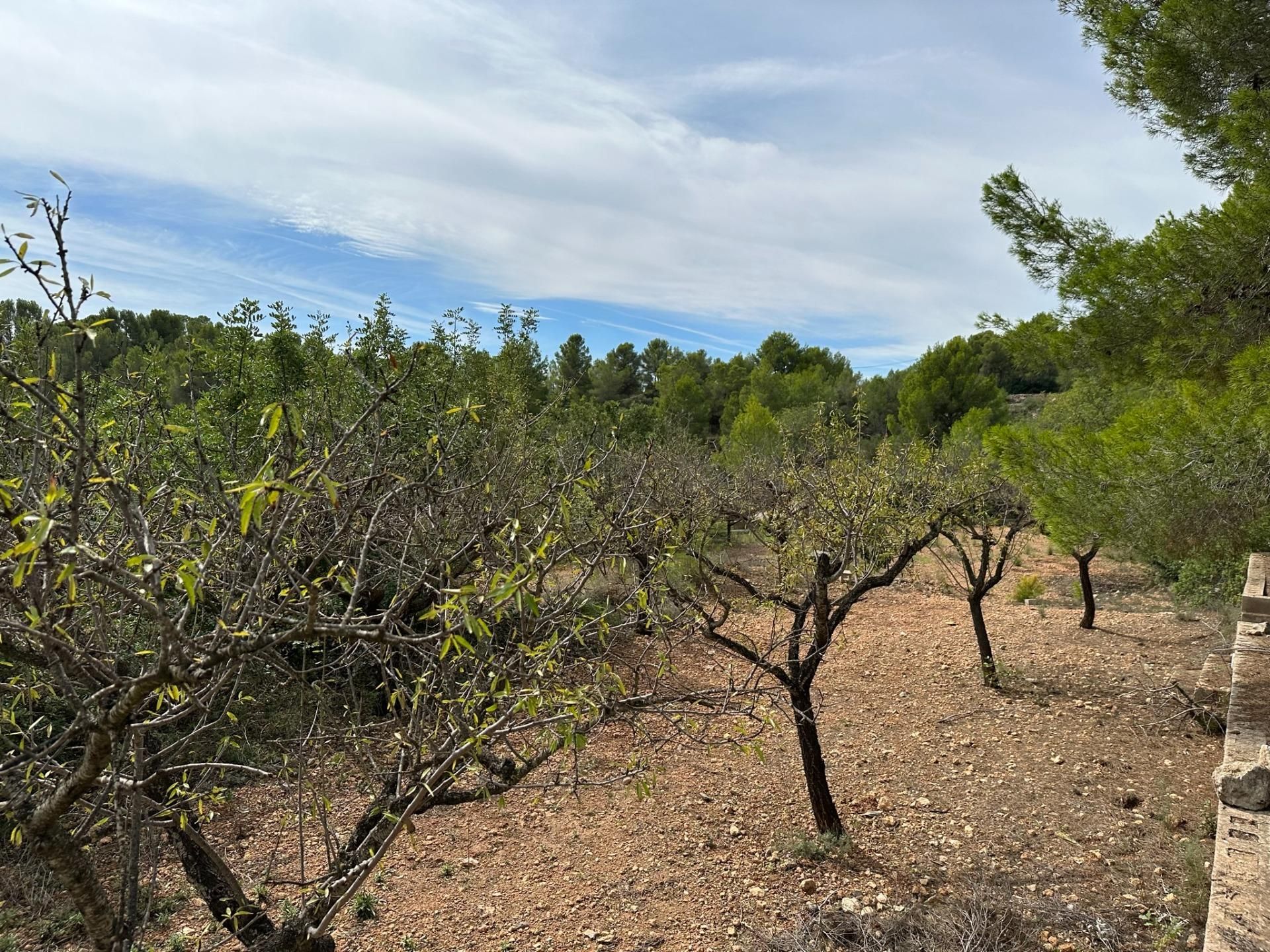 Talo sisään Náquera, Valencian Community 12192128