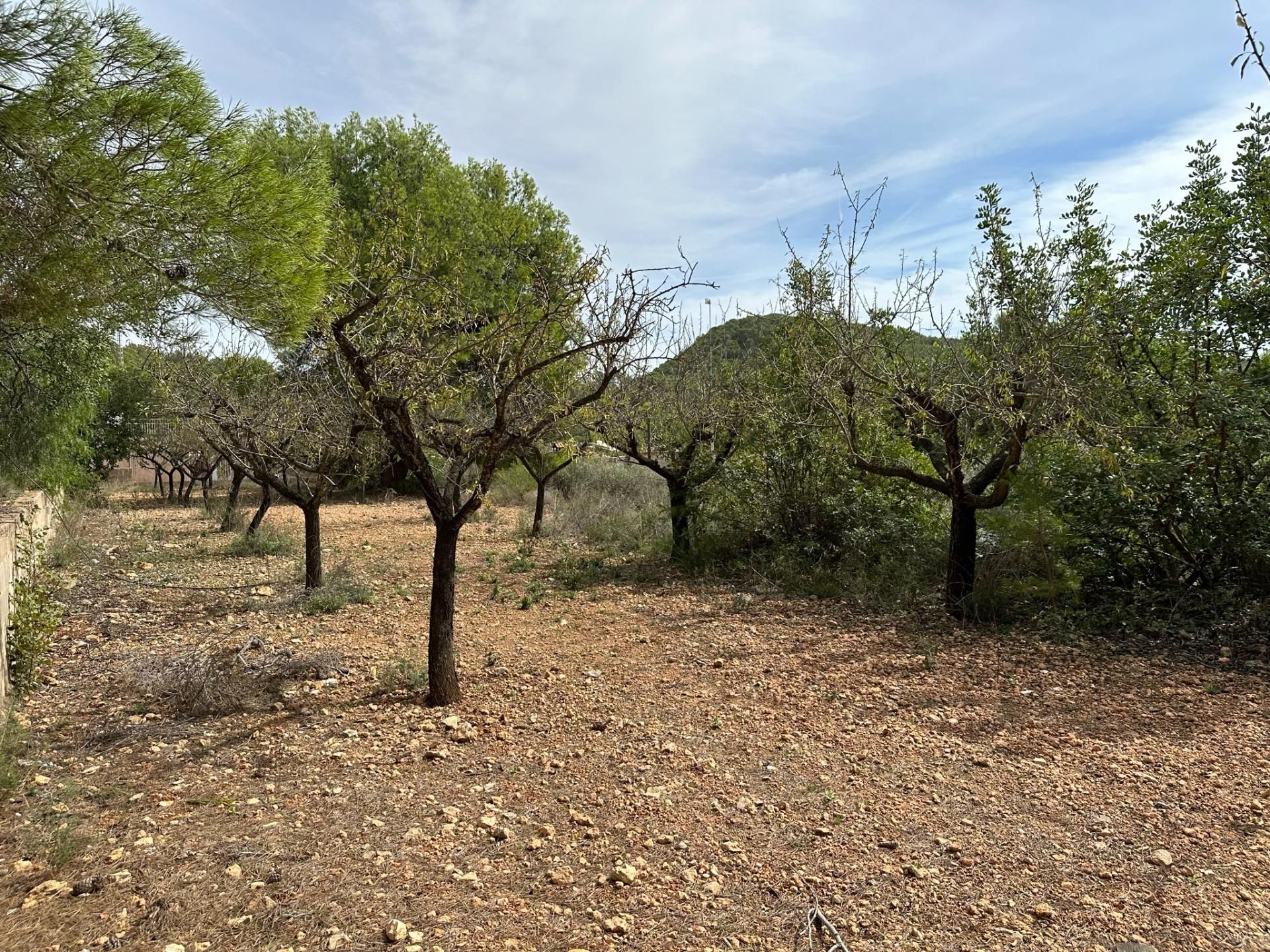 Talo sisään Náquera, Valencian Community 12192128