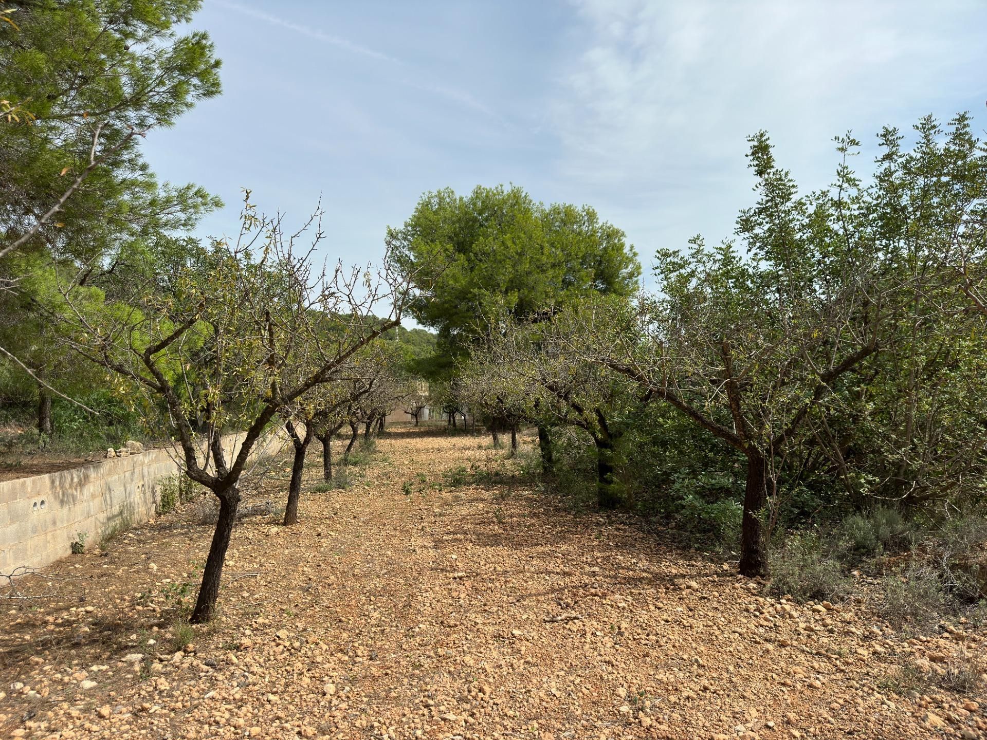 Talo sisään Náquera, Valencian Community 12192128