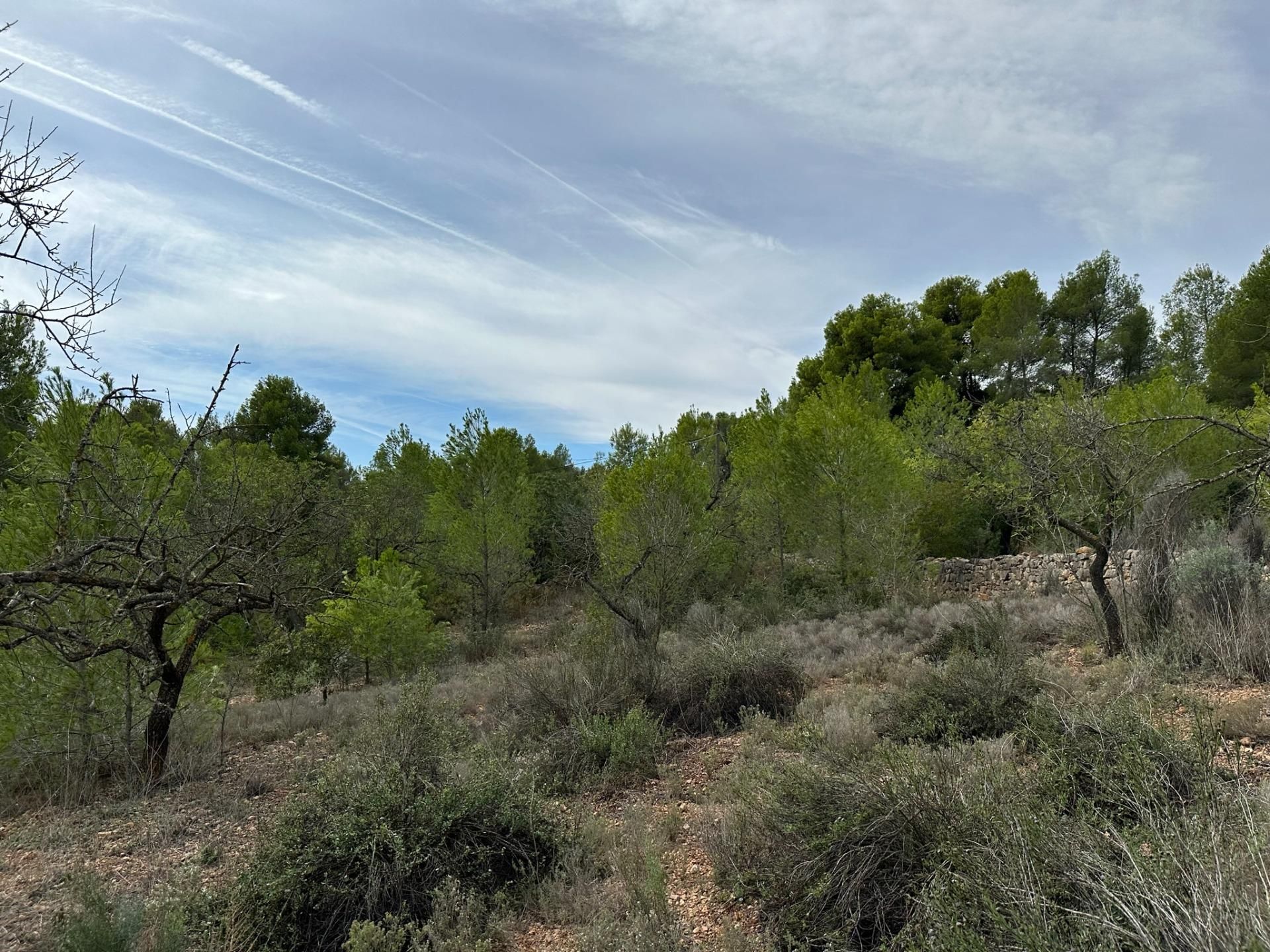 Talo sisään Náquera, Valencian Community 12192128