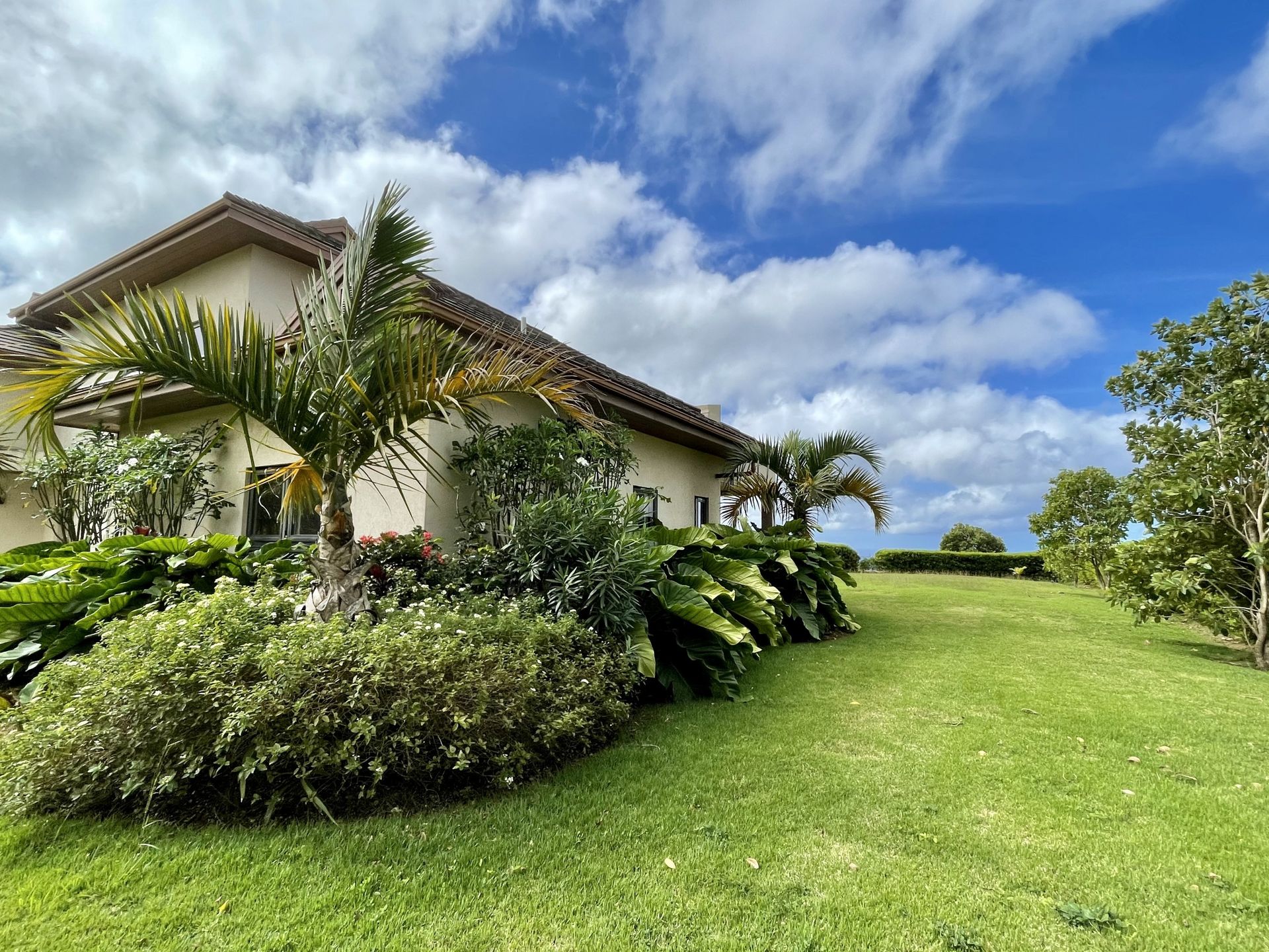 casa en Orange Hill, Saint James 12192270