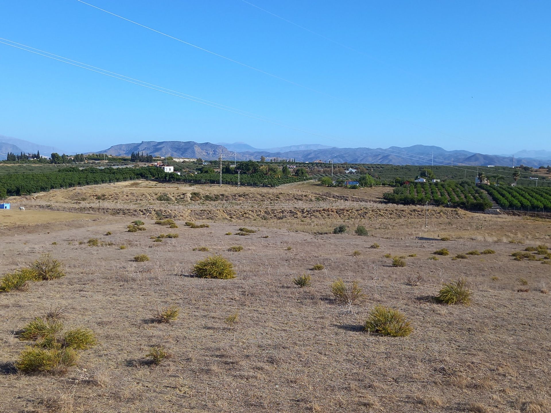 Tanah dalam Coín, Andalusia 12192725