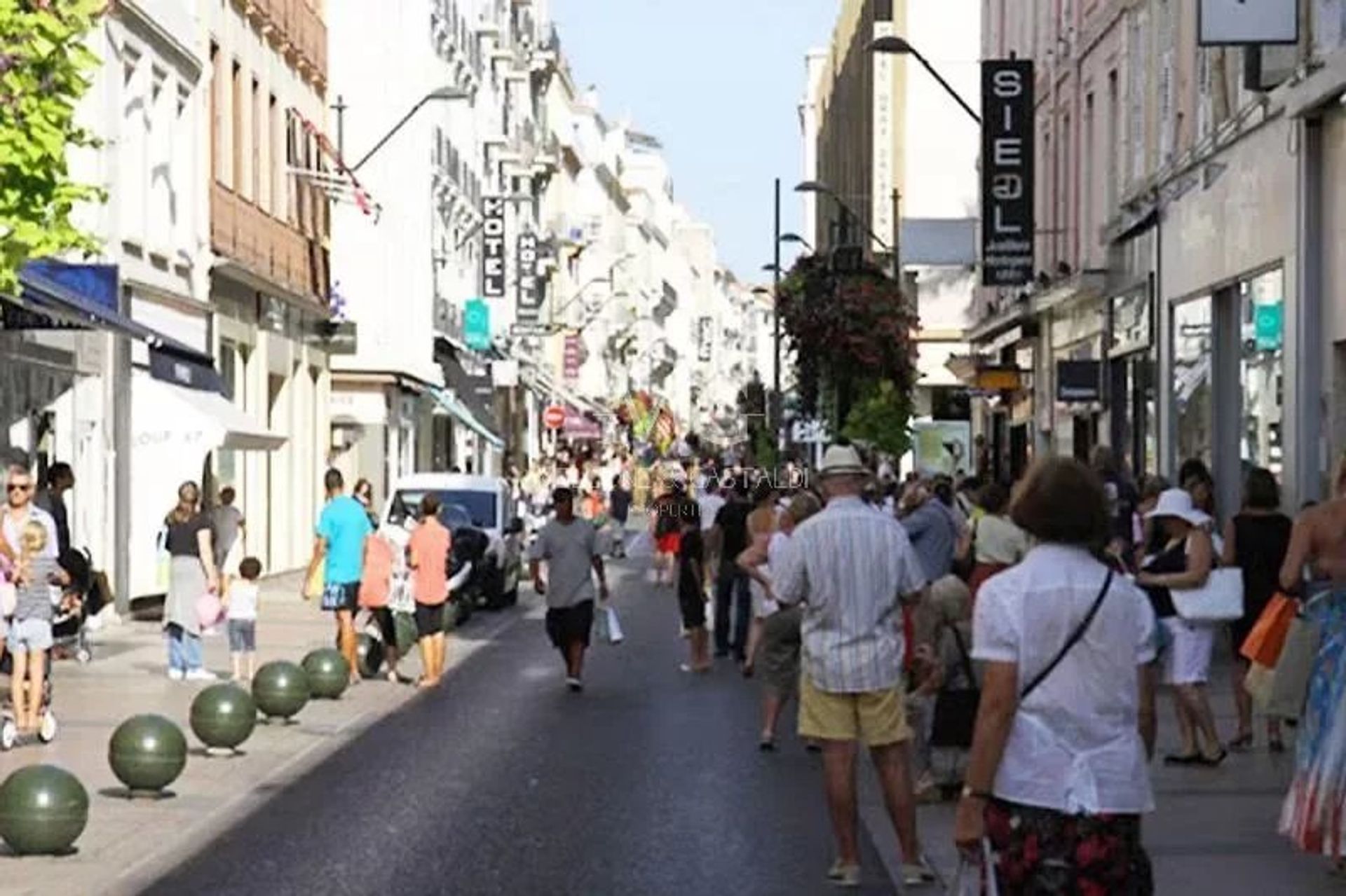 Autre dans Cannes, Provence-Alpes-Côte d'Azur 12193984